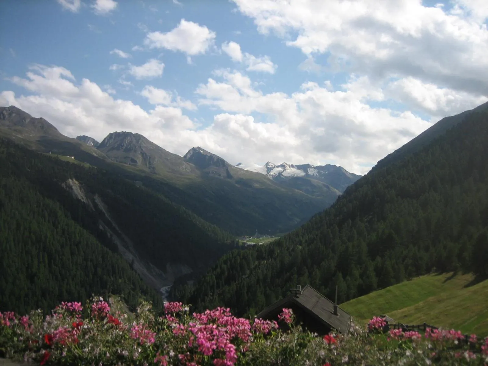Natural landscape in Gästehaus Helga