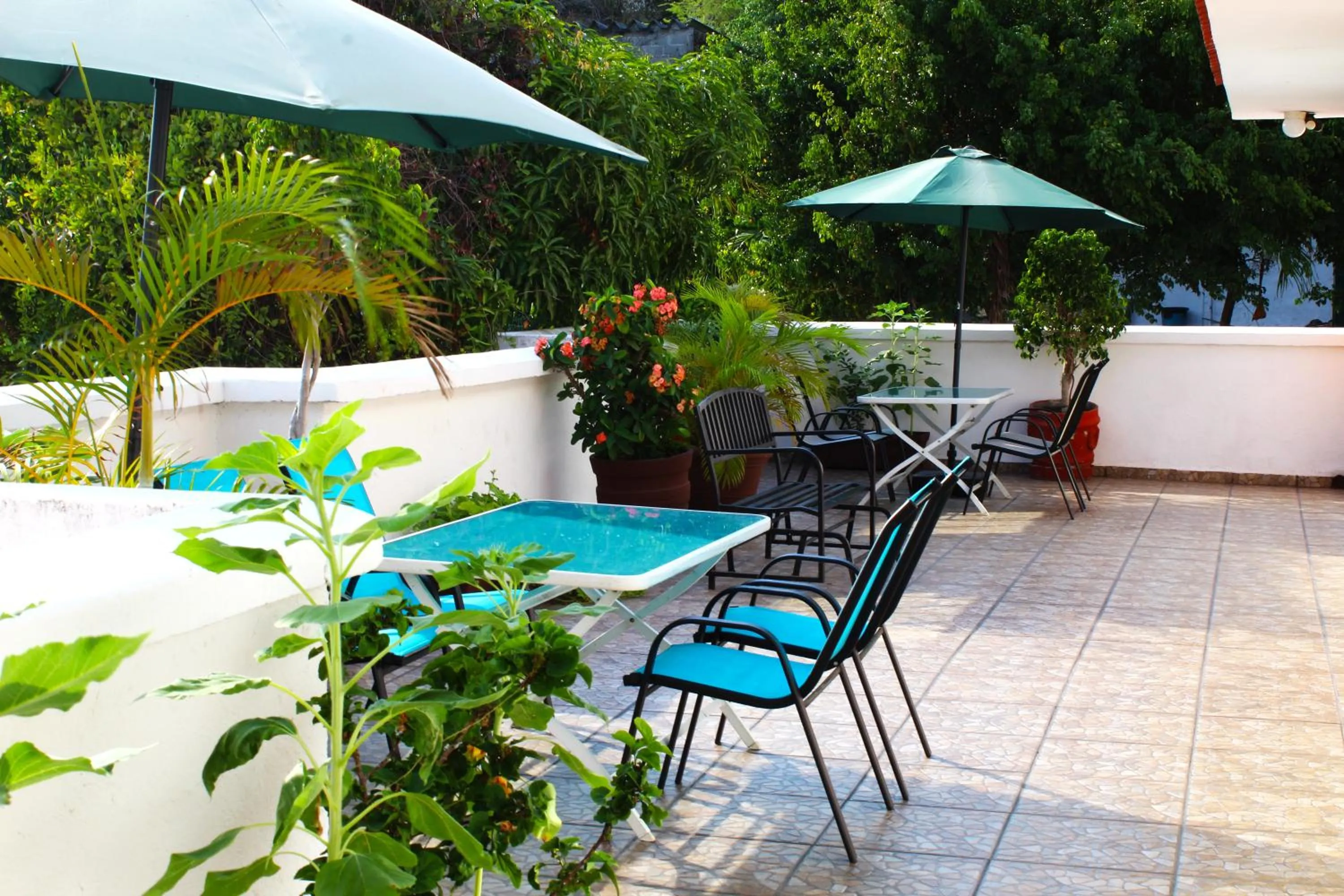 Balcony/Terrace in D'Cesar Hotel Acapulco