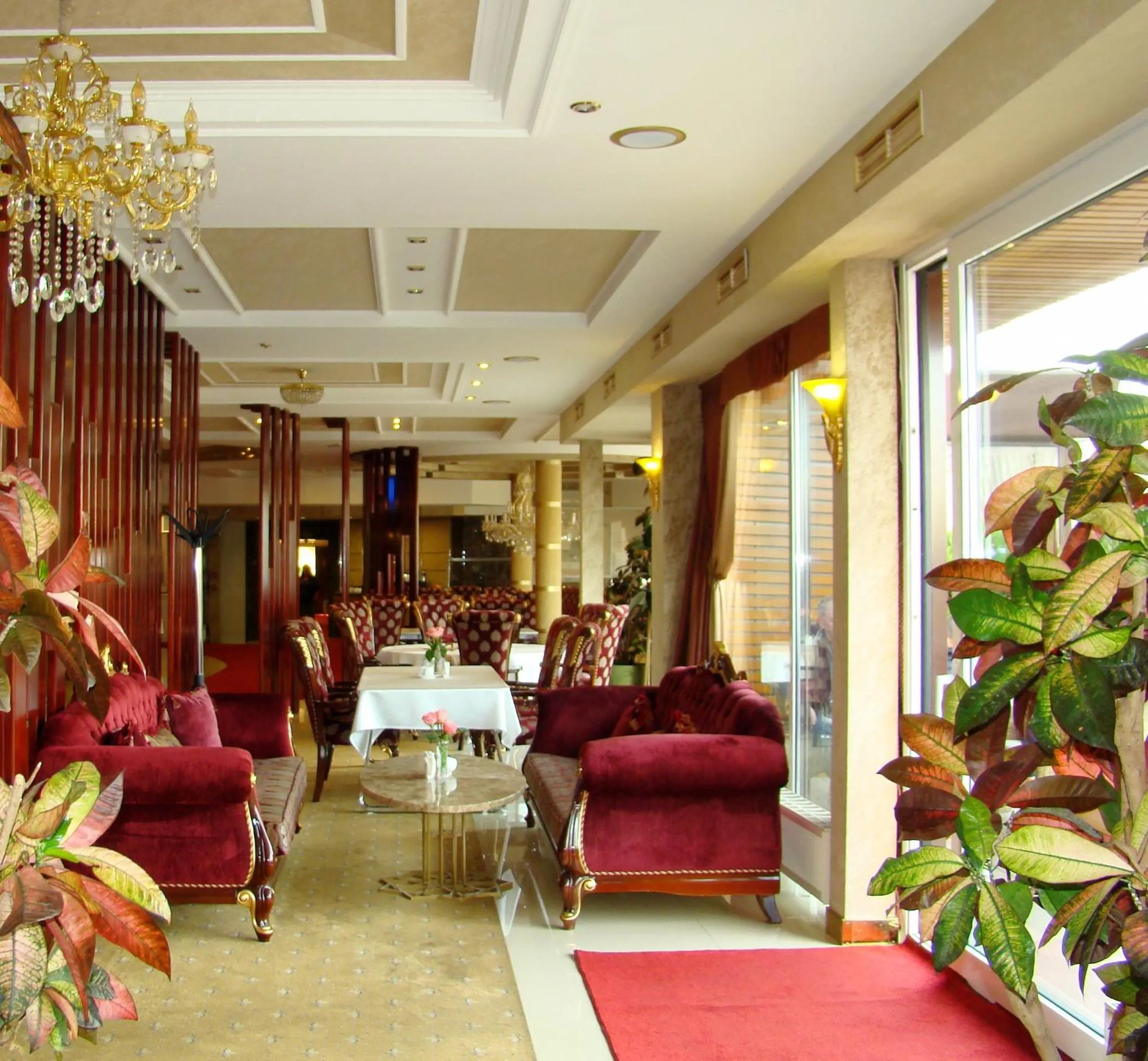 Restaurant/places to eat in Ark Palace Hotel & SPA
