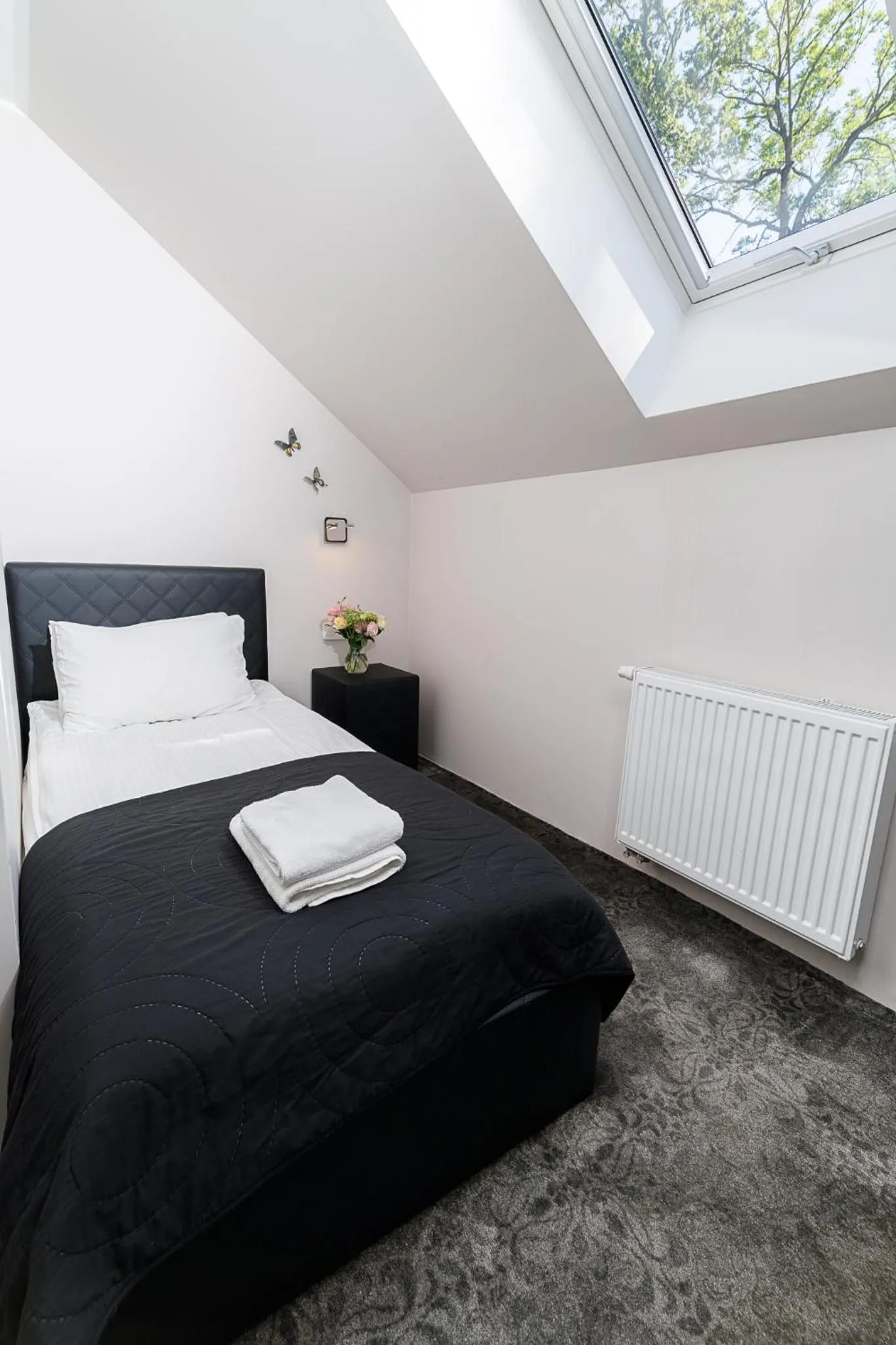 Single Room in PALAC DABROWKA
