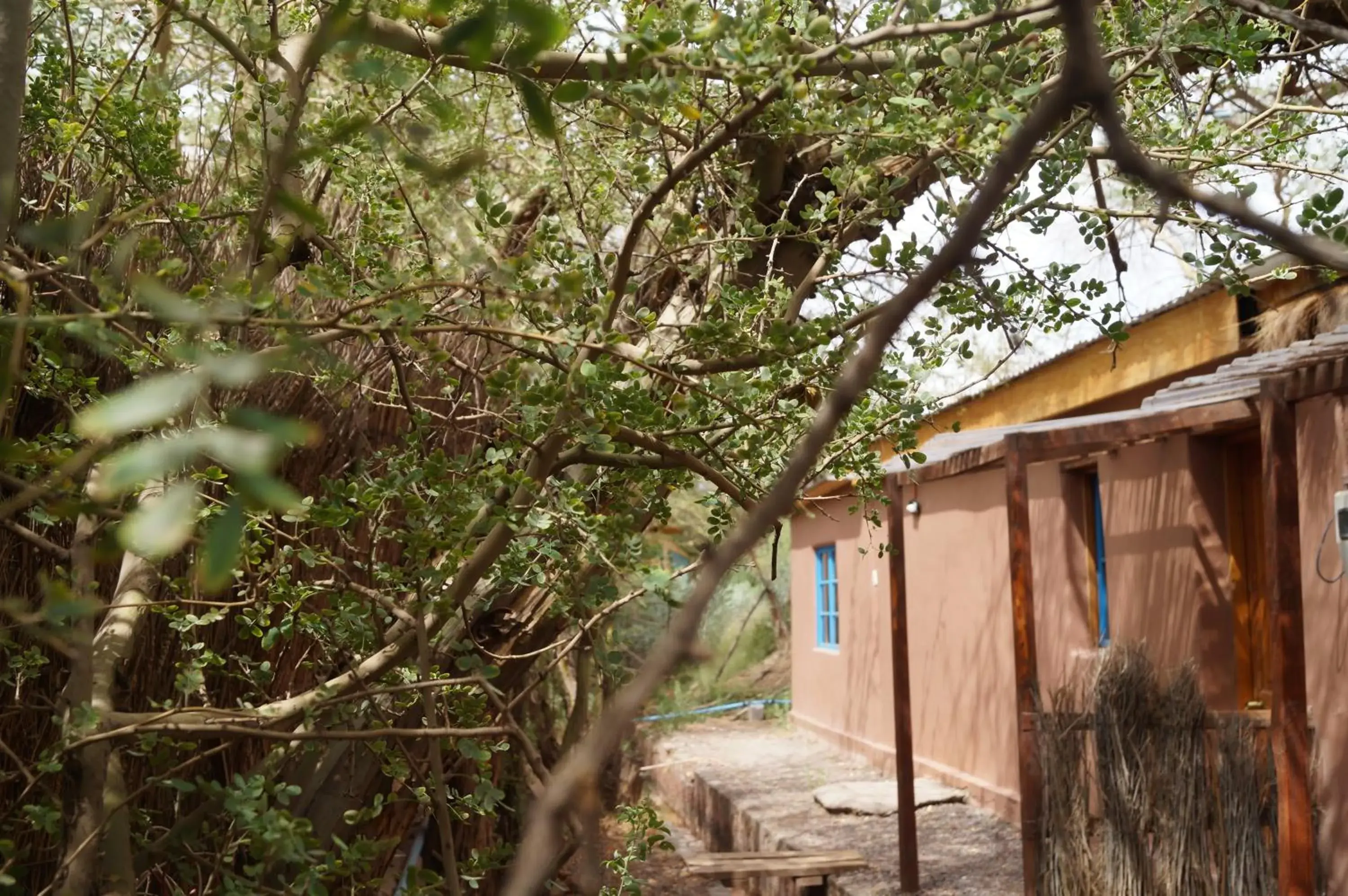 Property building in Atacama Lodge Rukazen Rústico Property building in Atacama Lodge Rukazen Rústico