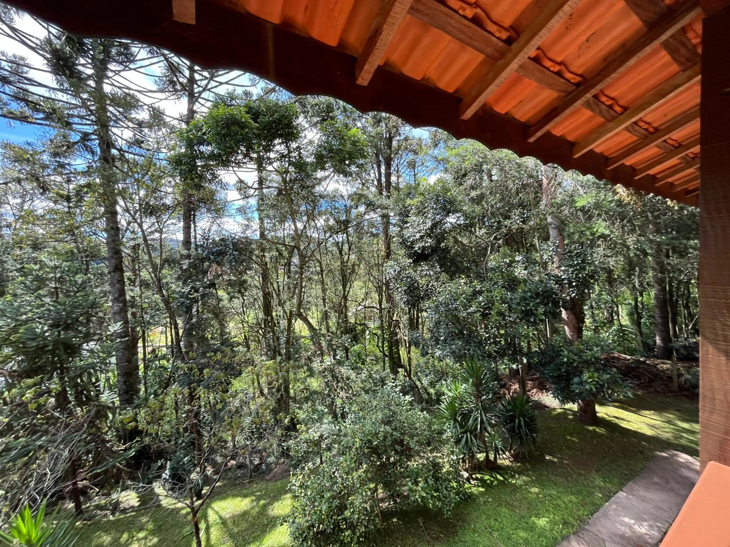 Garden view in Pousada Sonho Verde