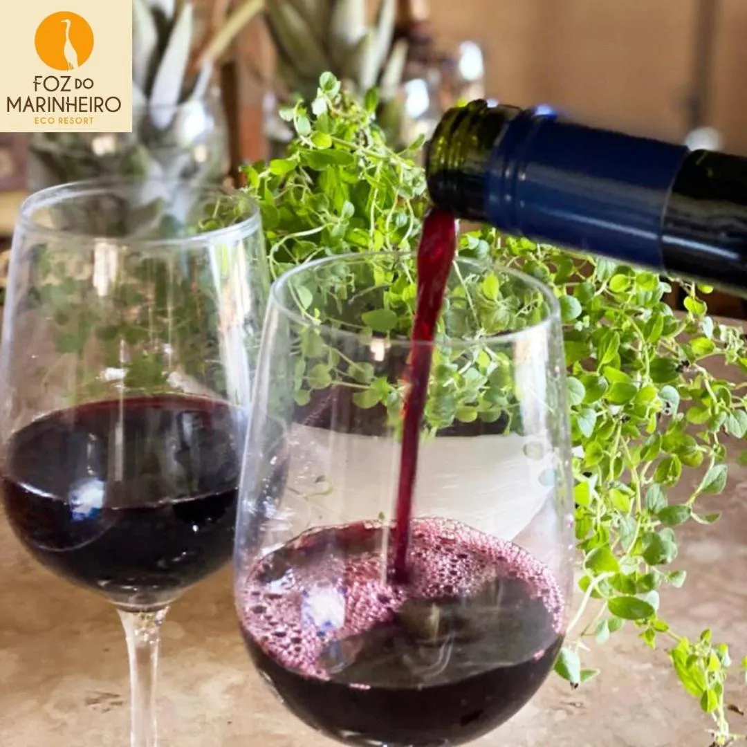 Food and drinks in Eco Resort Foz do Marinheiro