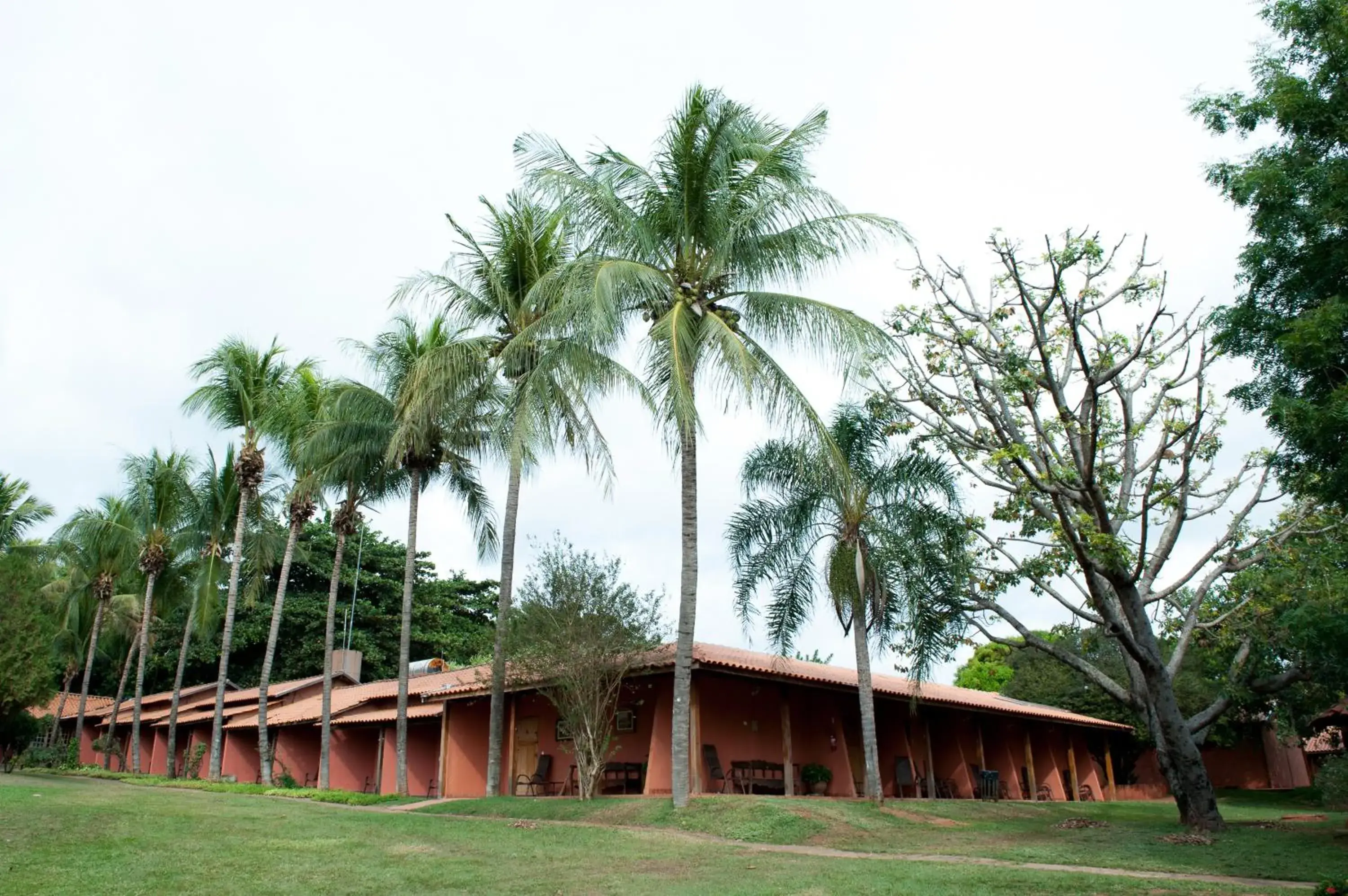 Deluxe Quadruple Room - single occupancy in Eco Resort Foz do Marinheiro Deluxe Quadruple Room - single occupancy in Eco Resort Foz do Marinheiro