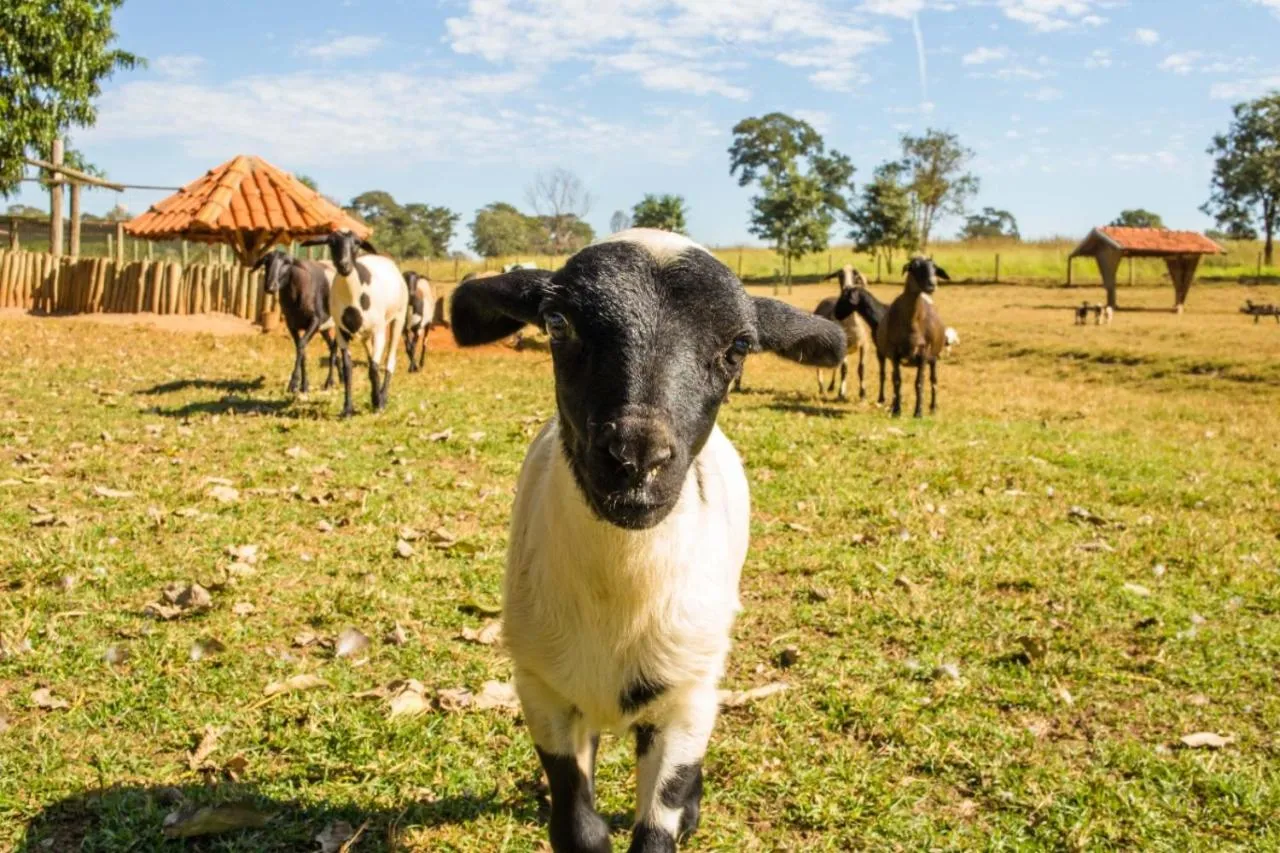 Natural landscape in Eco Resort Foz do Marinheiro