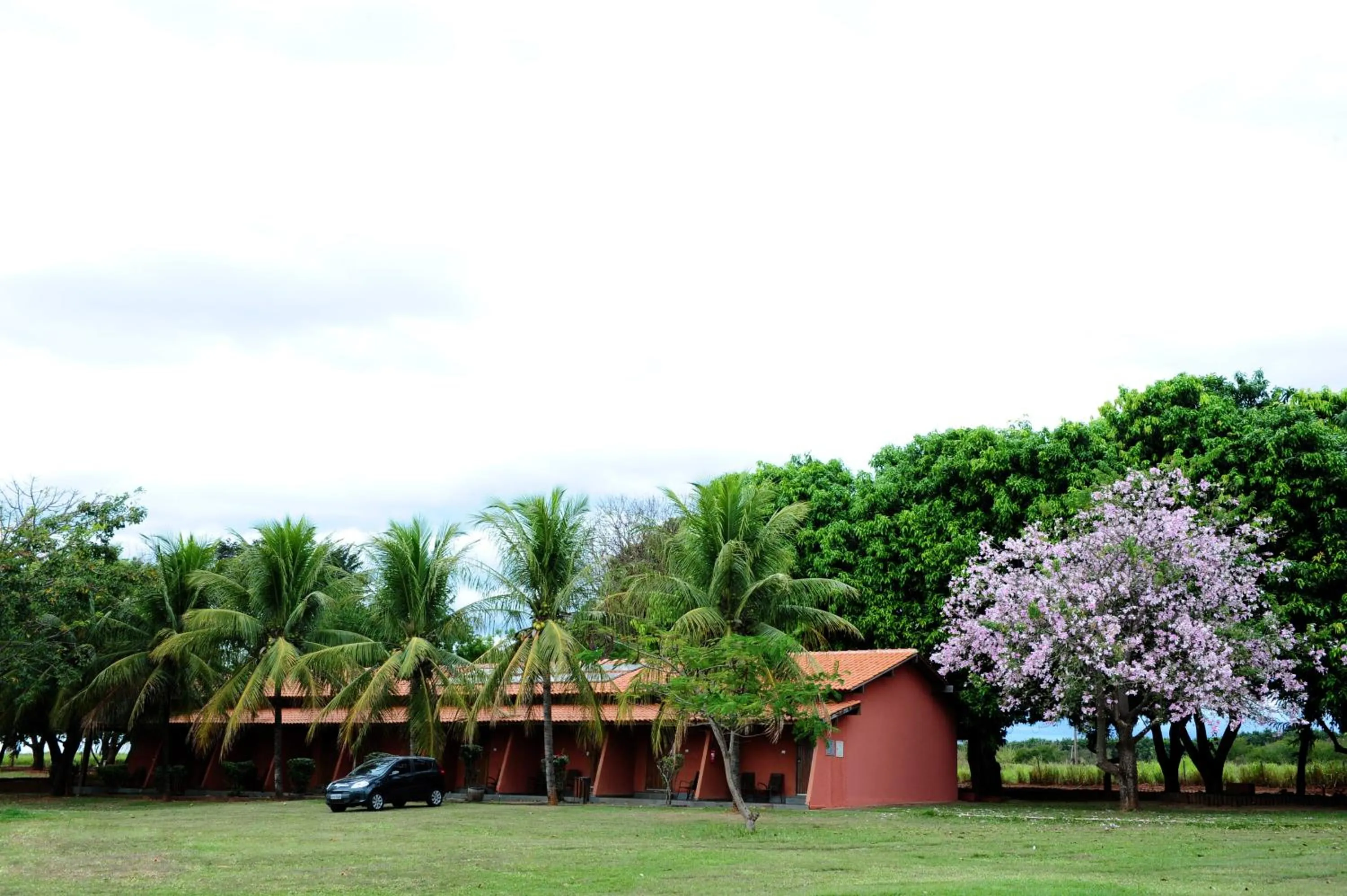Balcony/Terrace in Eco Resort Foz do Marinheiro