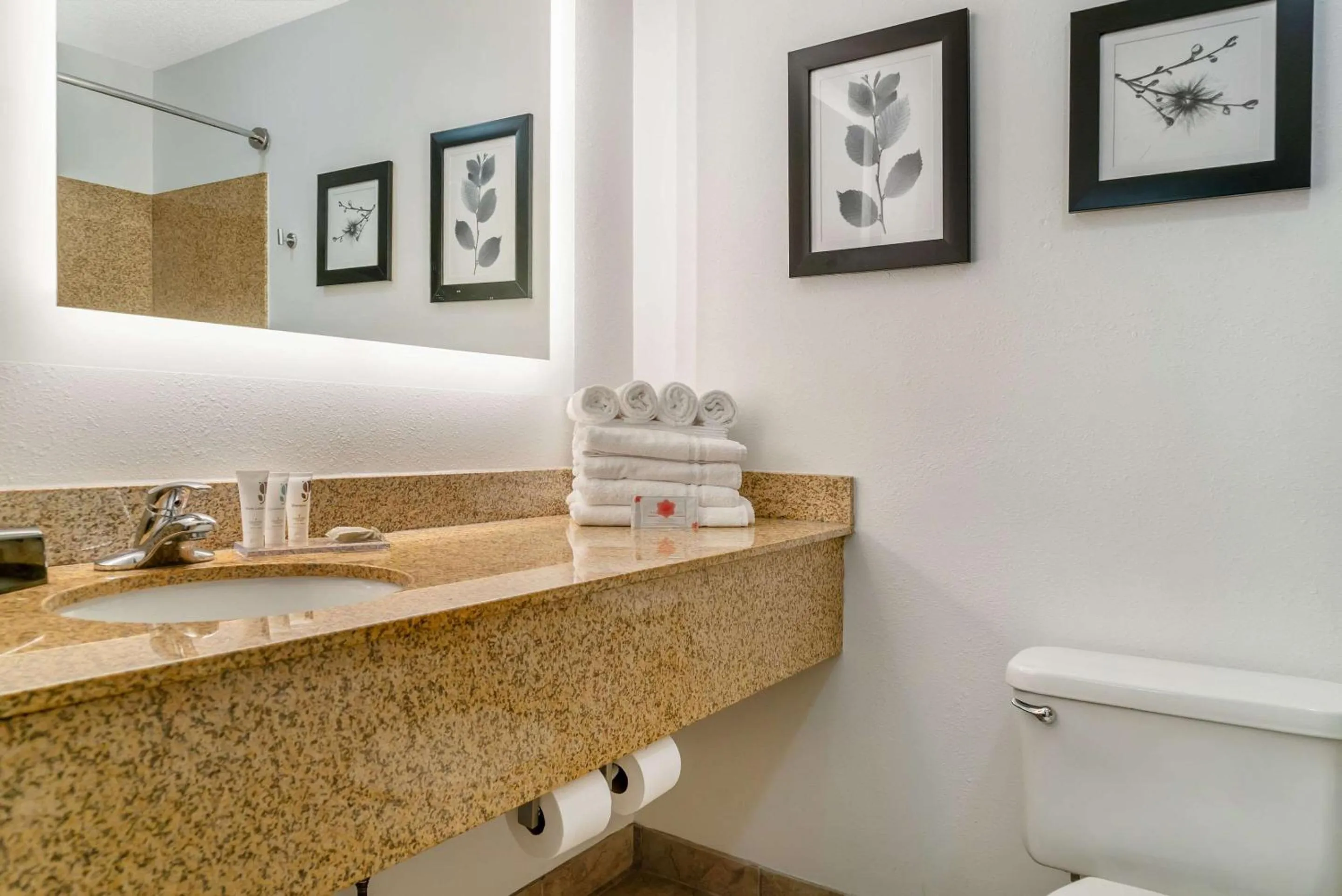 Bedroom in Country Inn & Suites by Radisson, Rossford - Toledo South