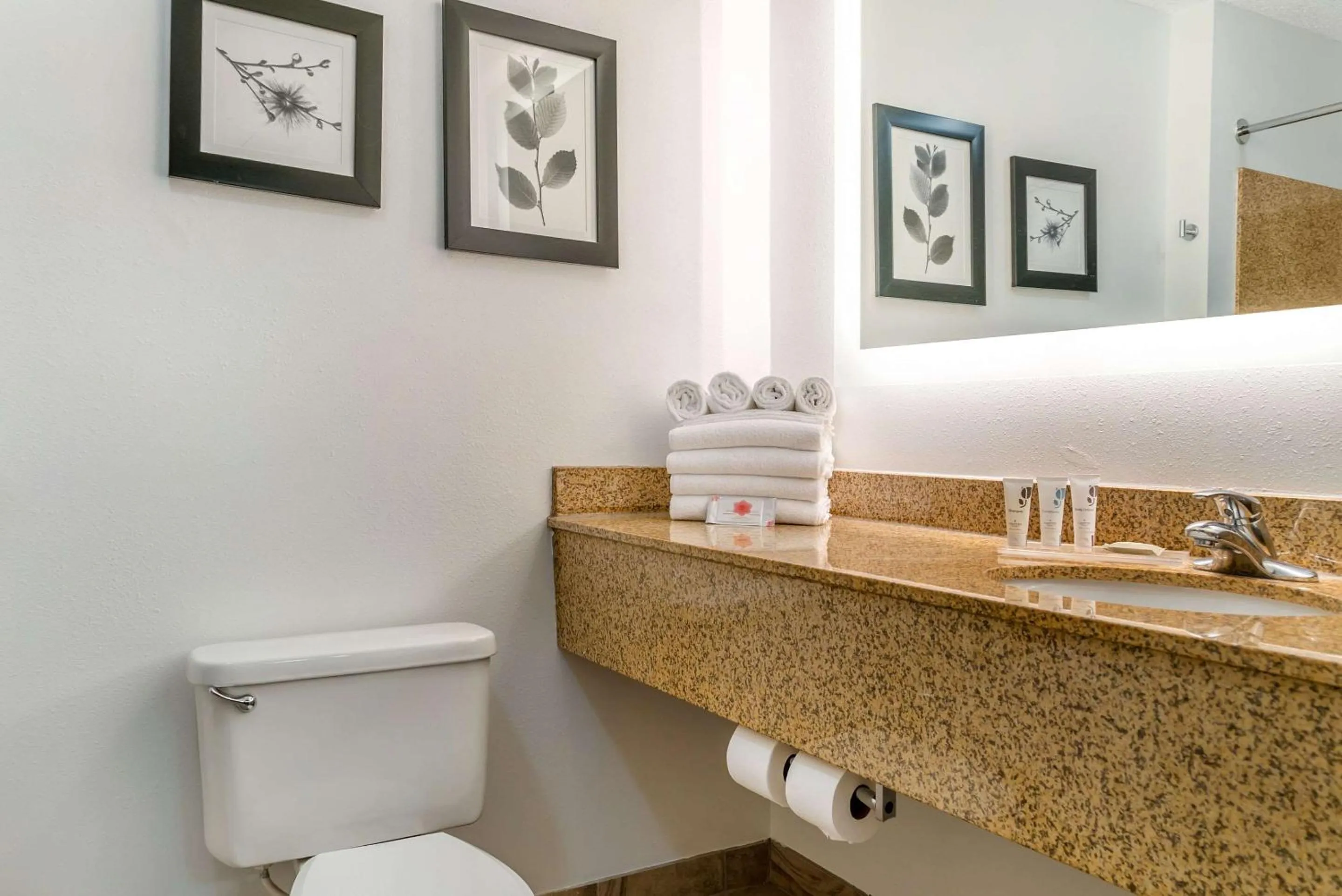 Bedroom in Country Inn & Suites by Radisson, Rossford - Toledo South