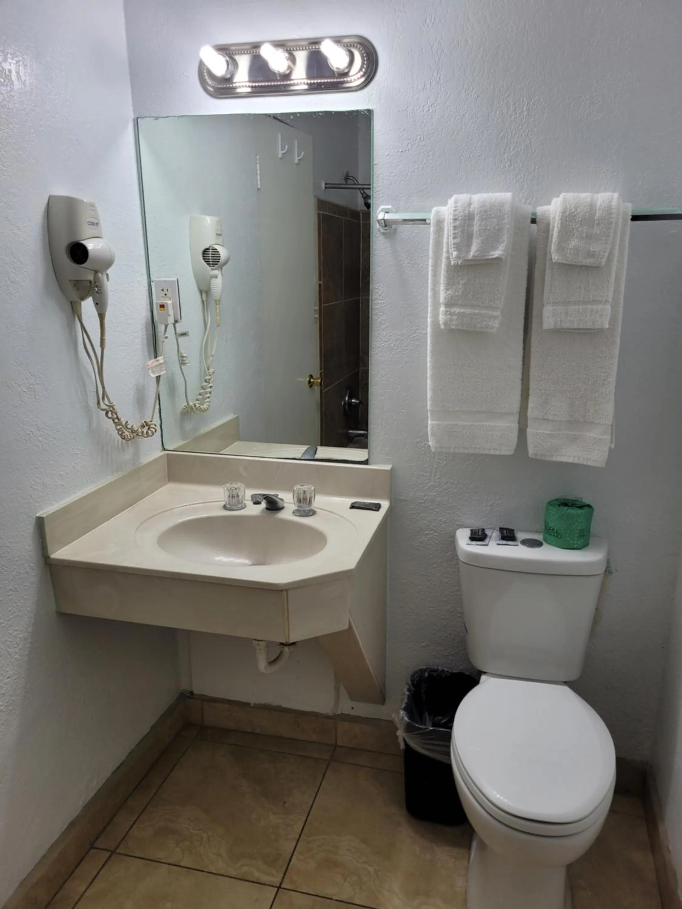 Toilet in Sands Motel