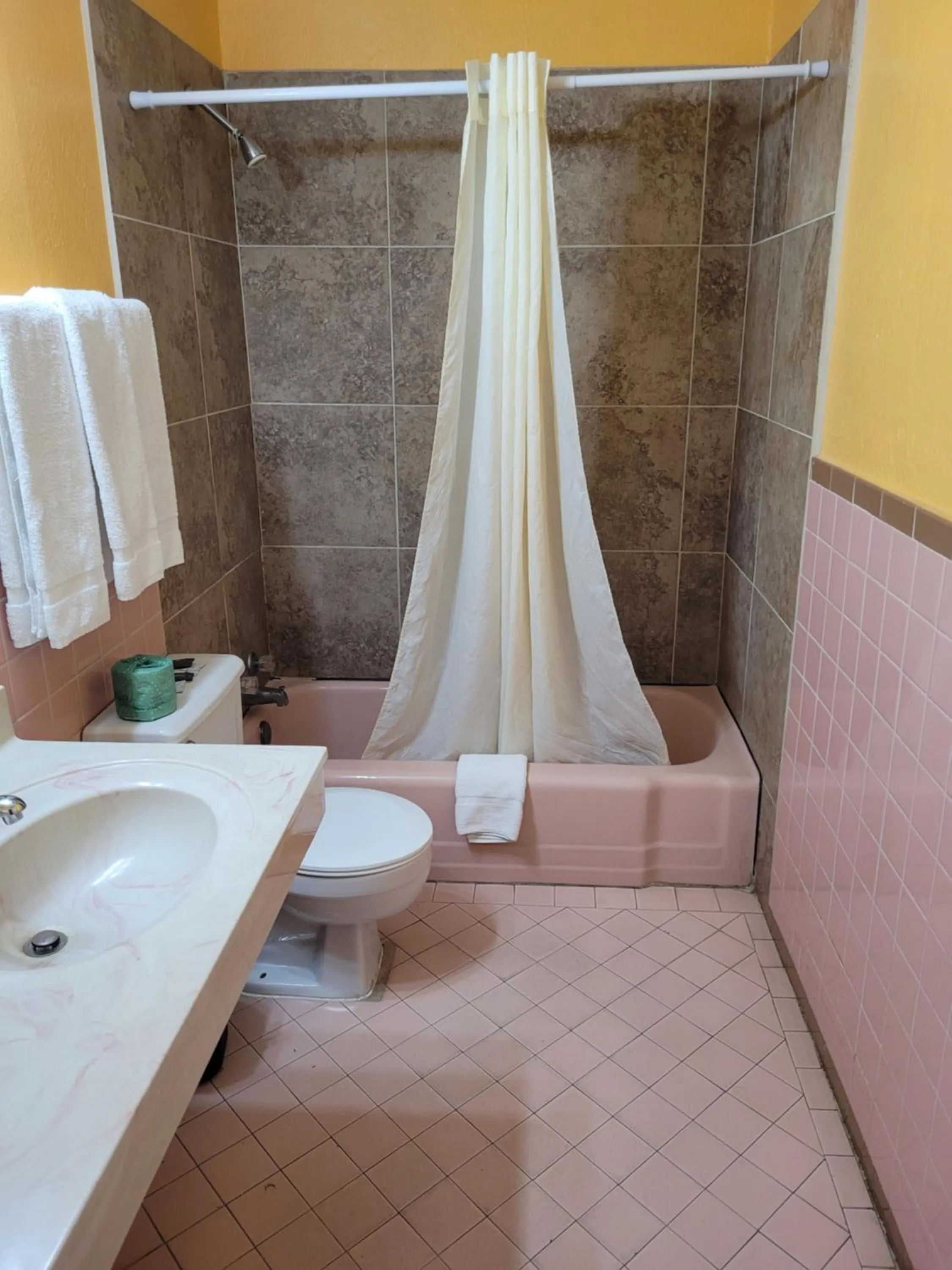Bathroom in Sands Motel