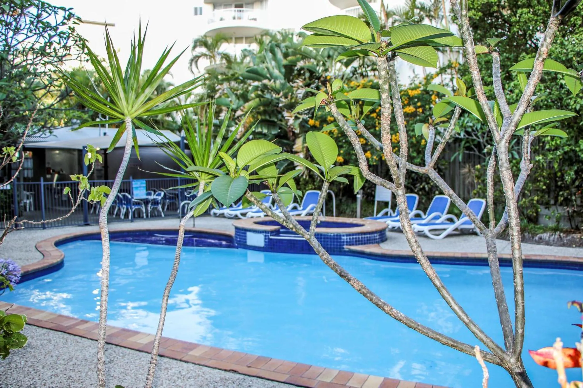 Pool view in Surfers Beach Holiday Apartments