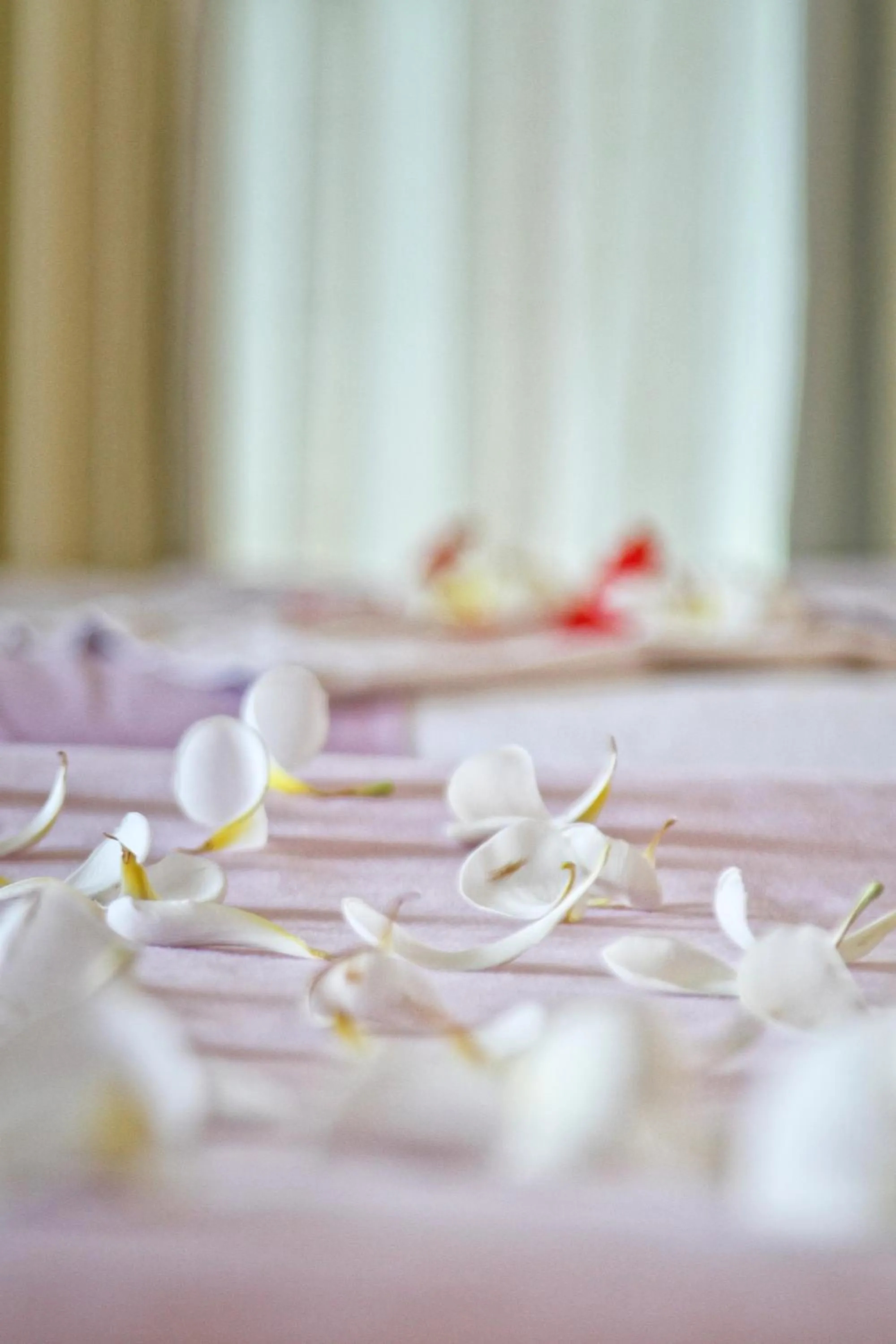 Decorative detail in Club Punta Fuego