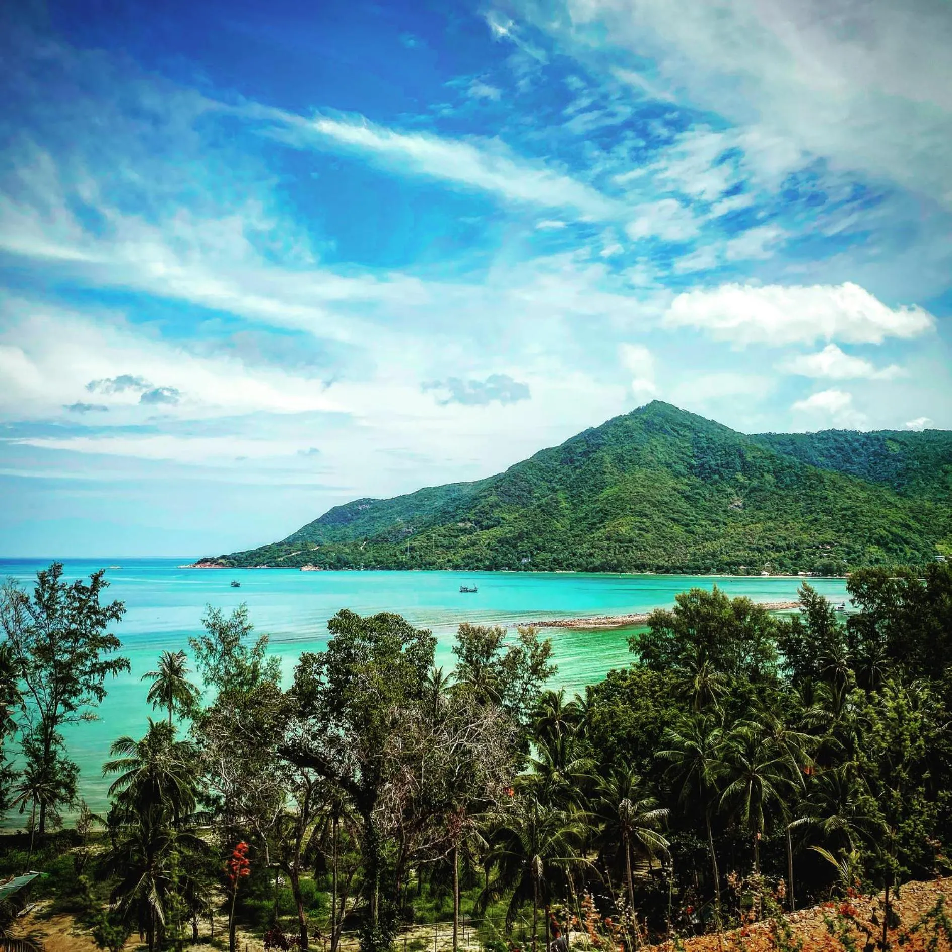 Natural landscape in Shiralea Backpackers Resort