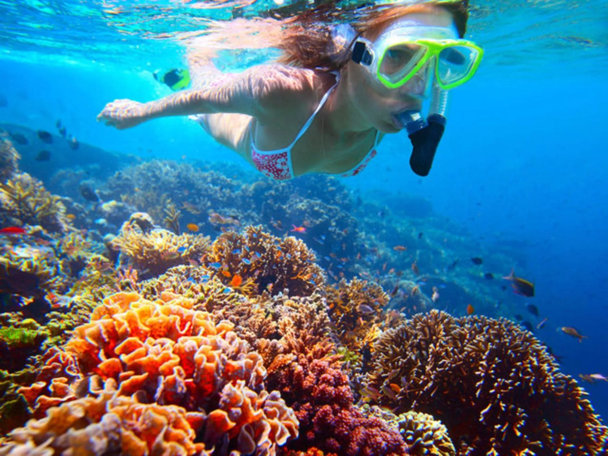 Activities in Shiralea Backpackers Resort