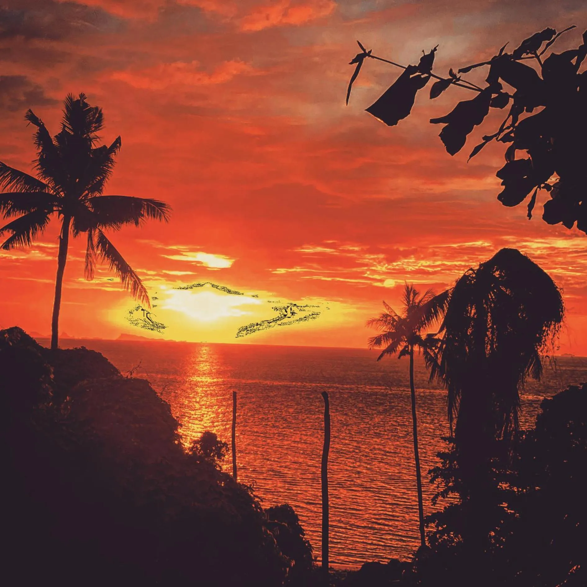 Natural landscape in Shiralea Backpackers Resort