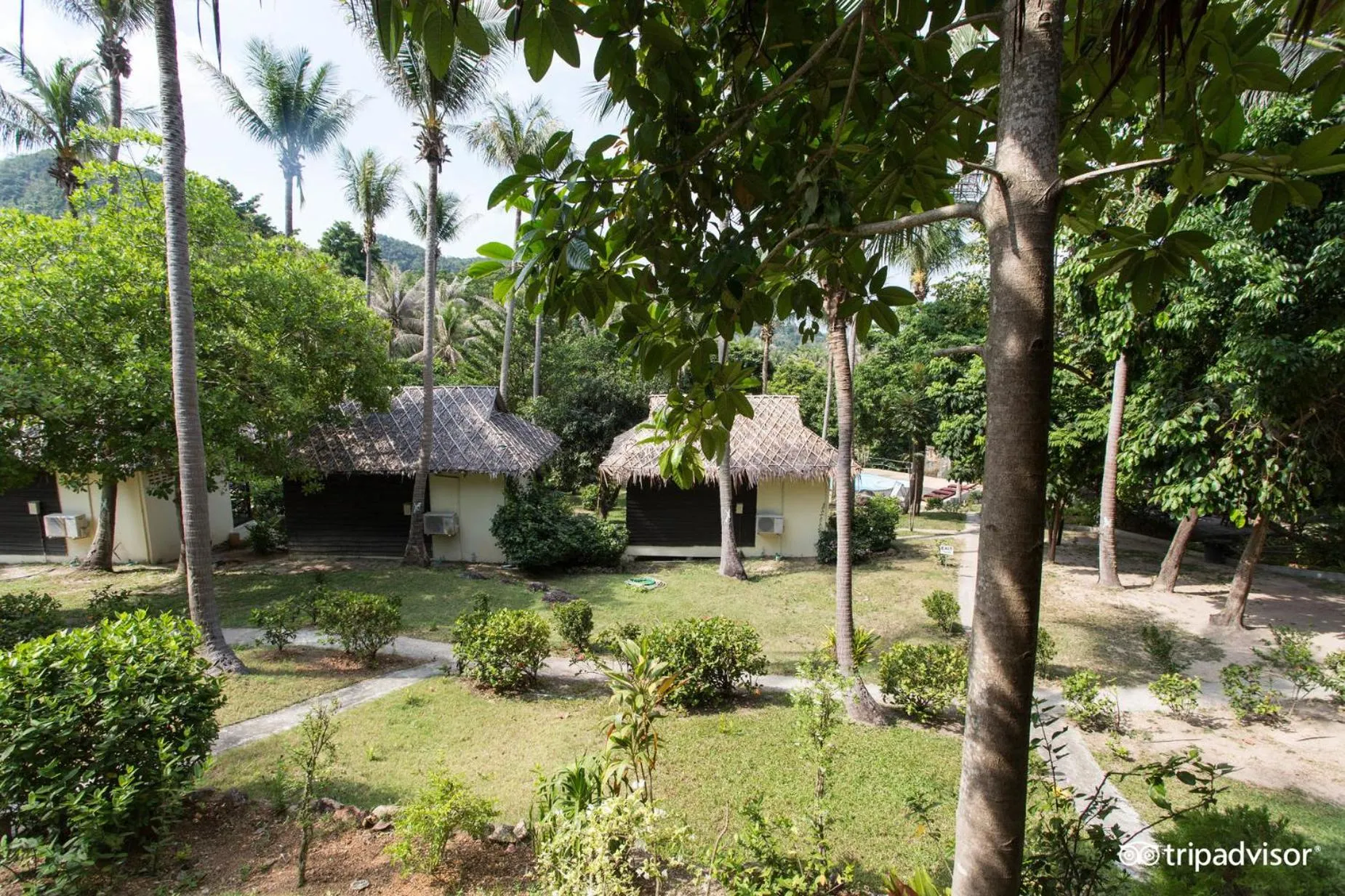 Garden in Shiralea Backpackers Resort