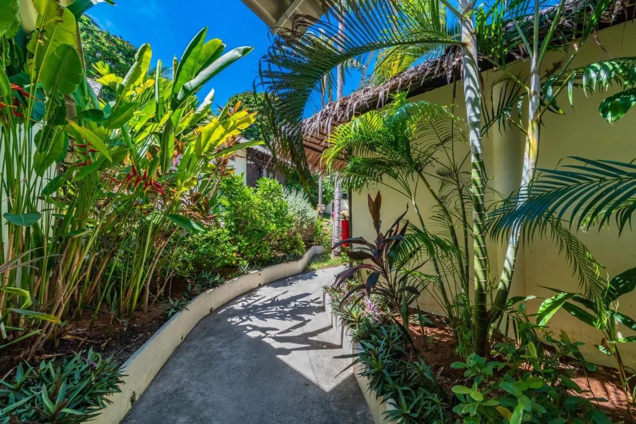 Garden in Shiralea Backpackers Resort