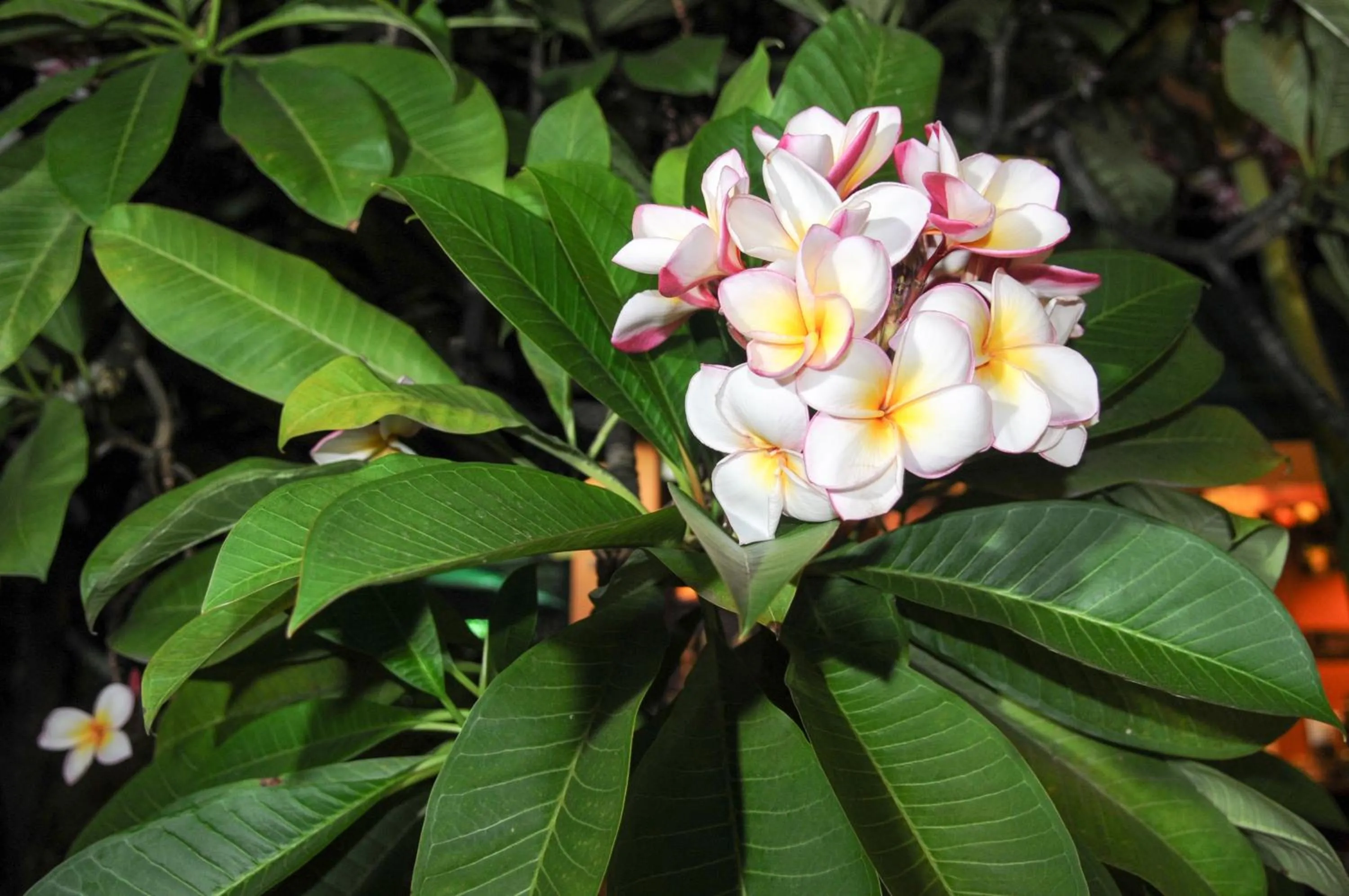 Decorative detail in All in 1 Guesthouse