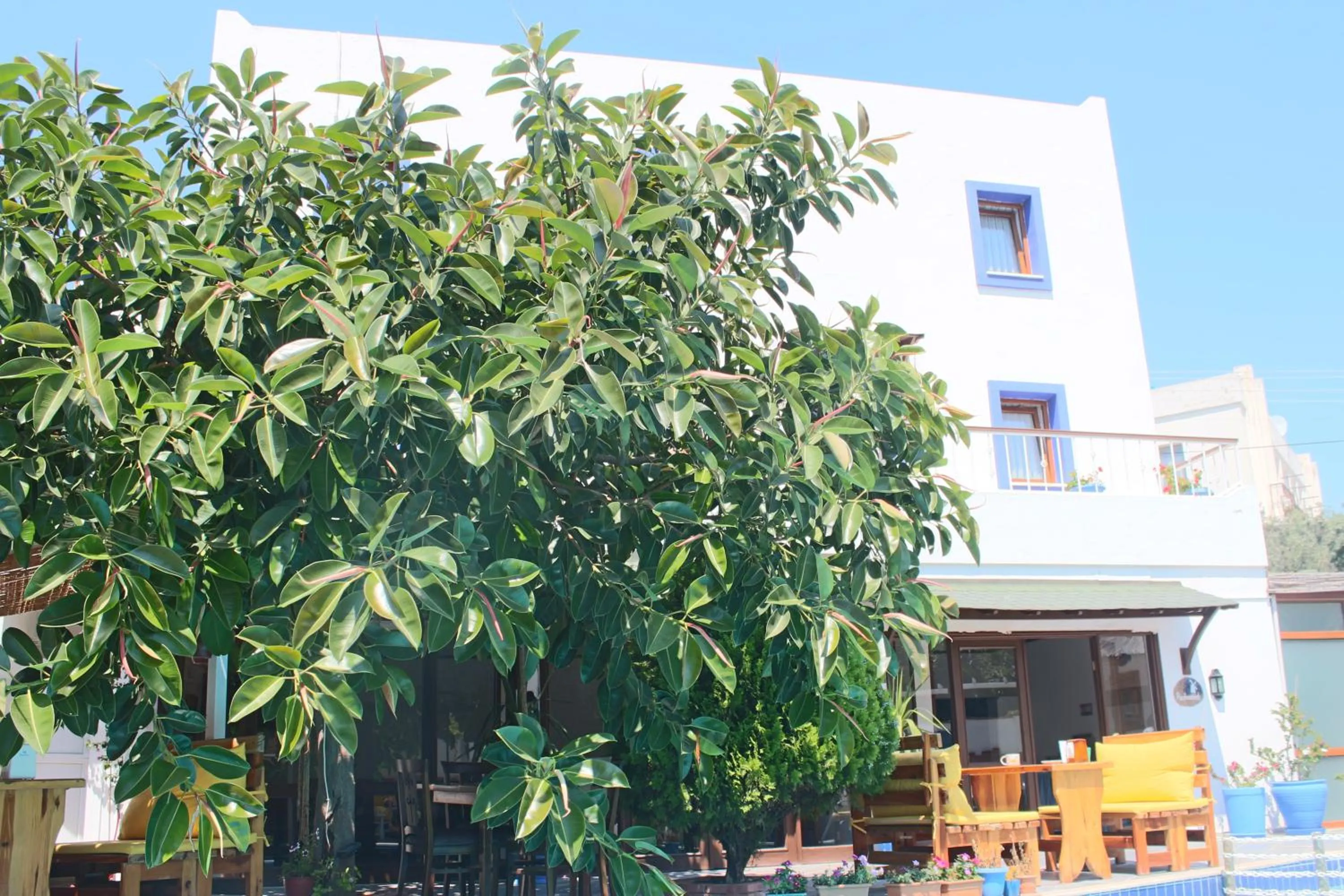 Property building in Oya Butik Otel