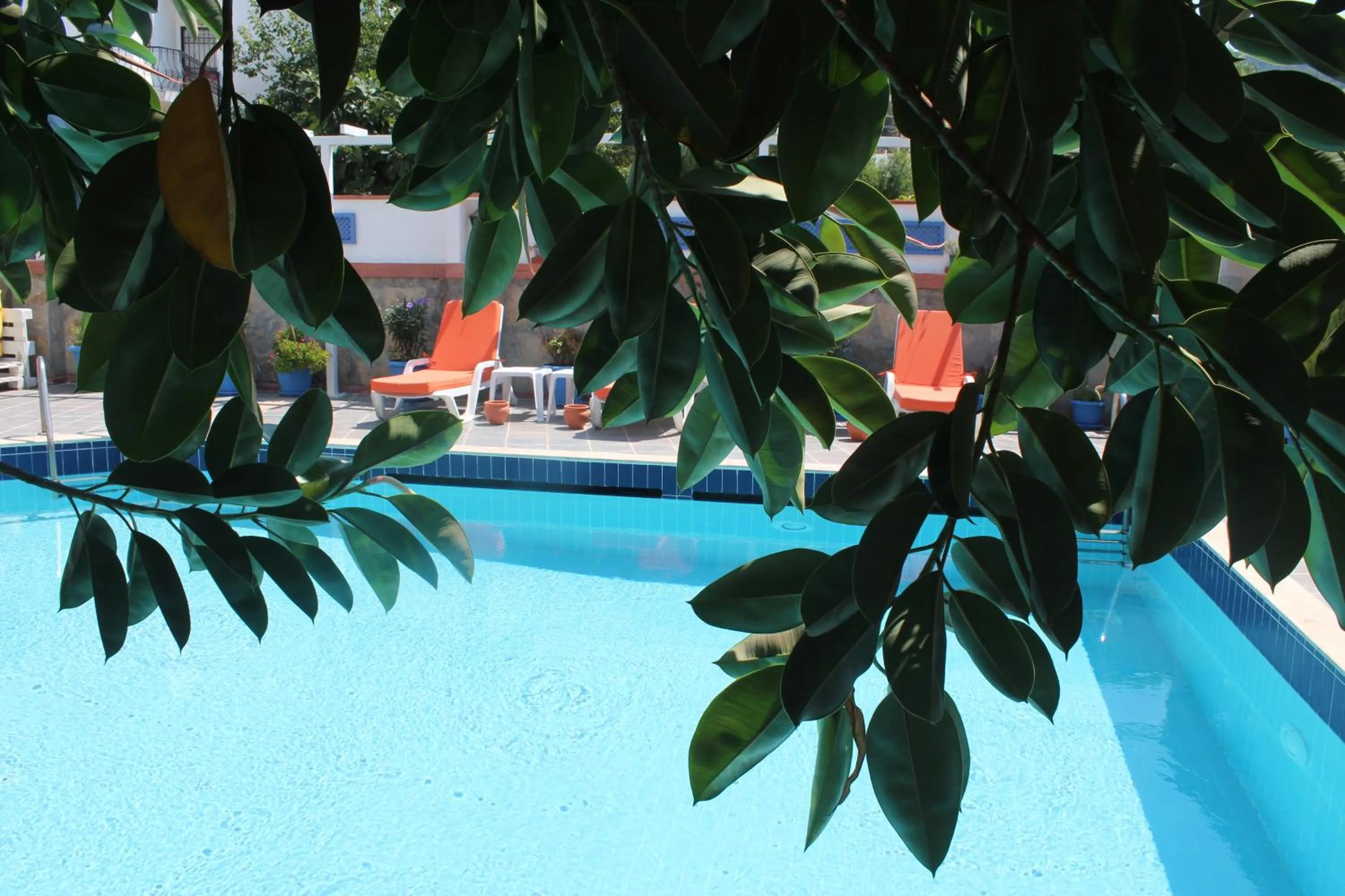 Garden view in Oya Butik Otel