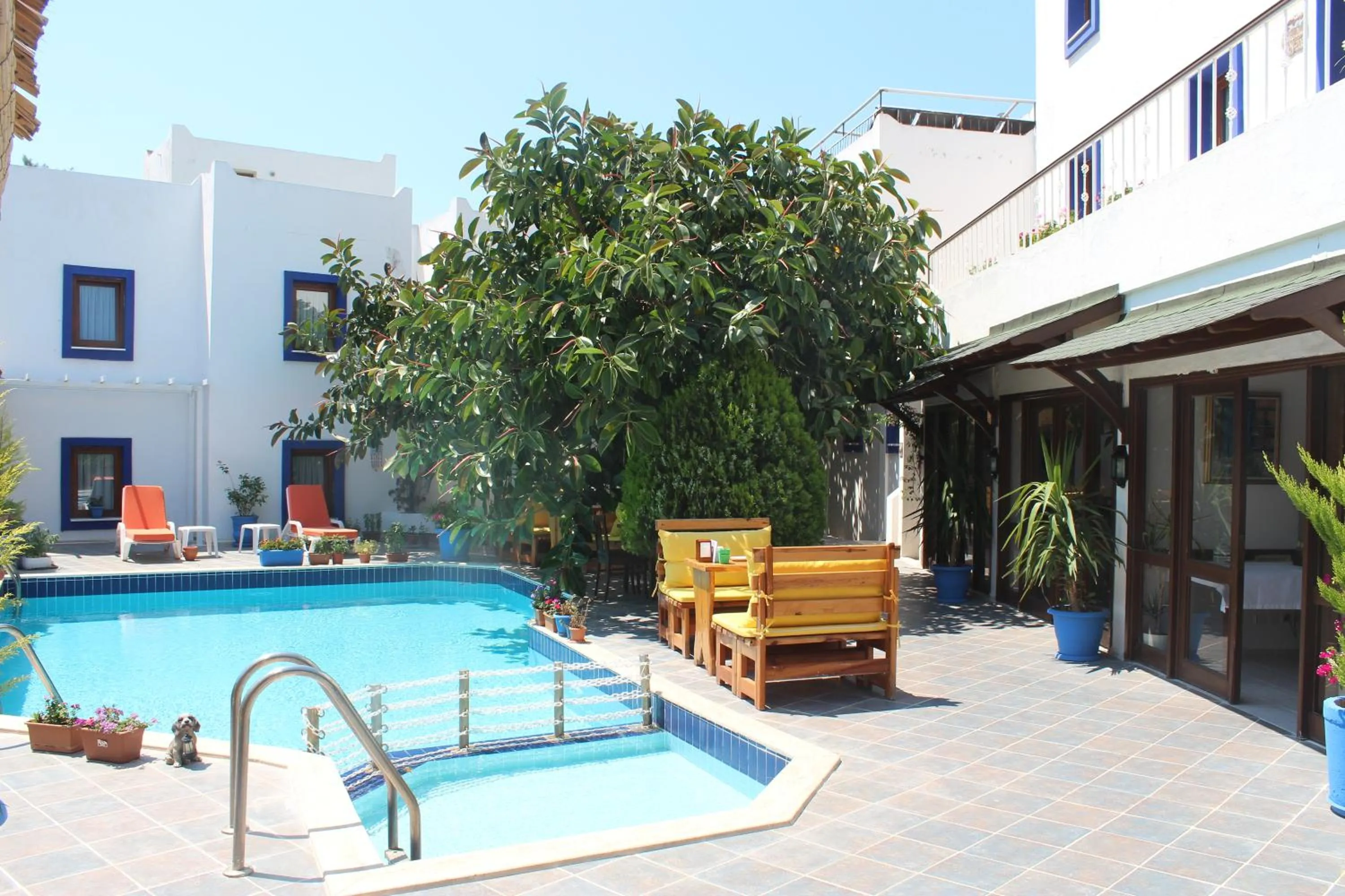 Garden view in Oya Butik Otel