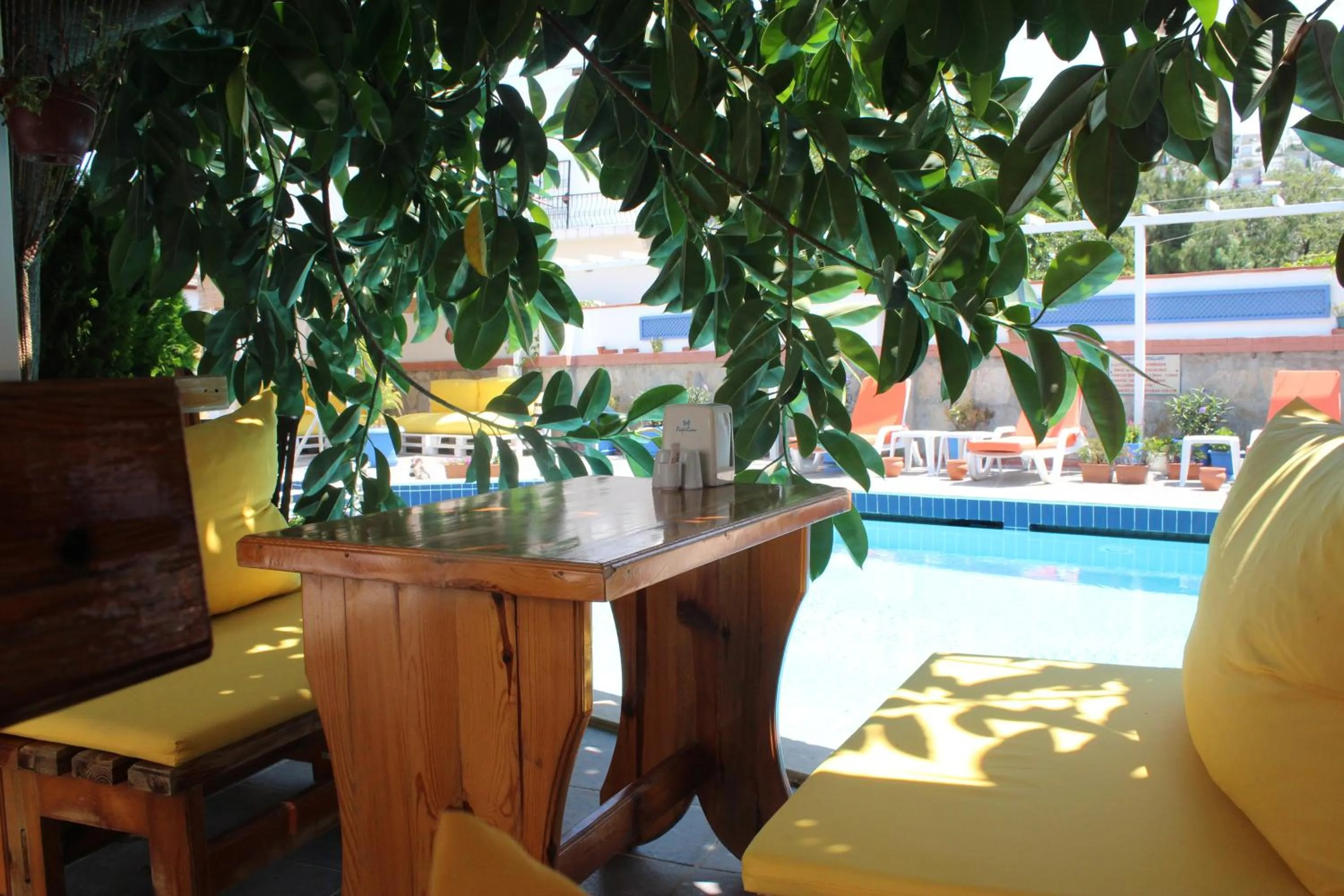 Garden view in Oya Butik Otel