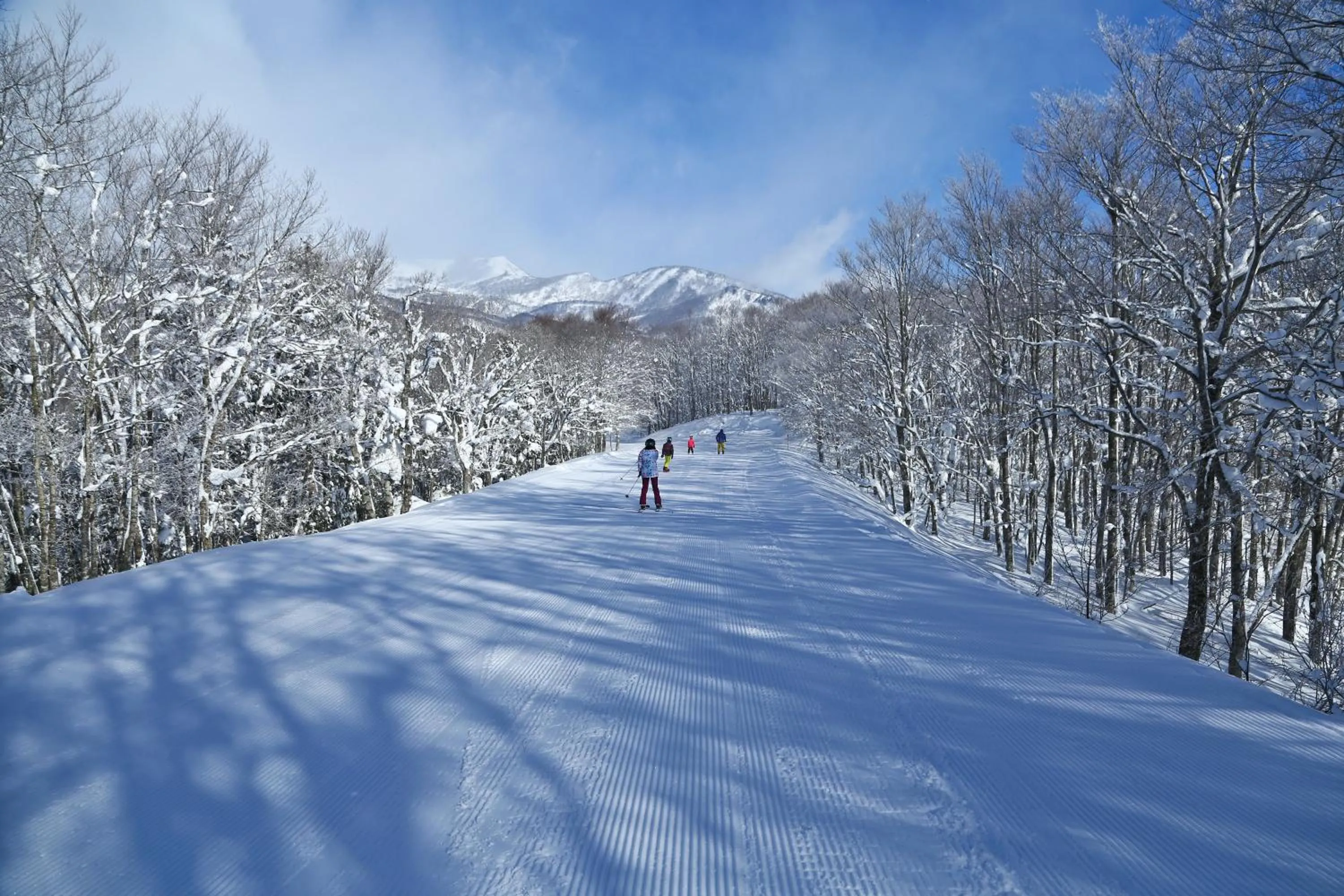 Natural landscape in Hakuba Hatago Maruhachi