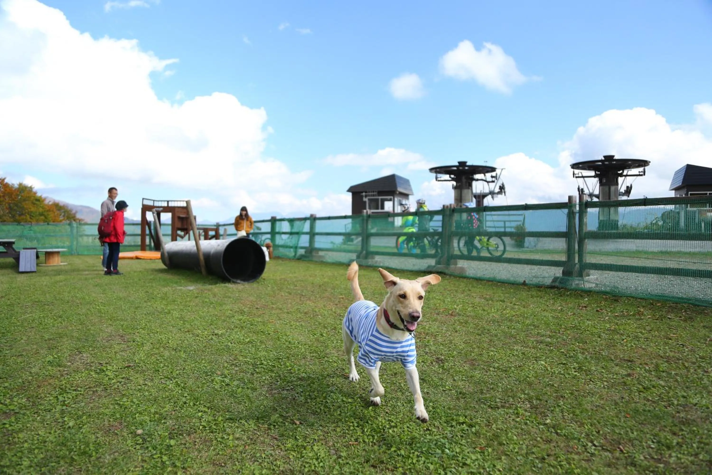 Off site in Hakuba Hatago Maruhachi