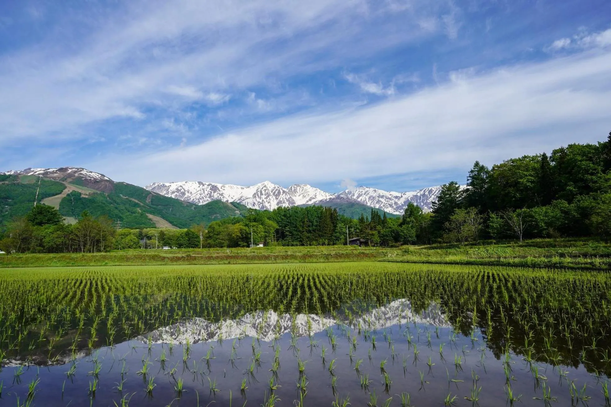 Hakuba Hatago Maruhachi