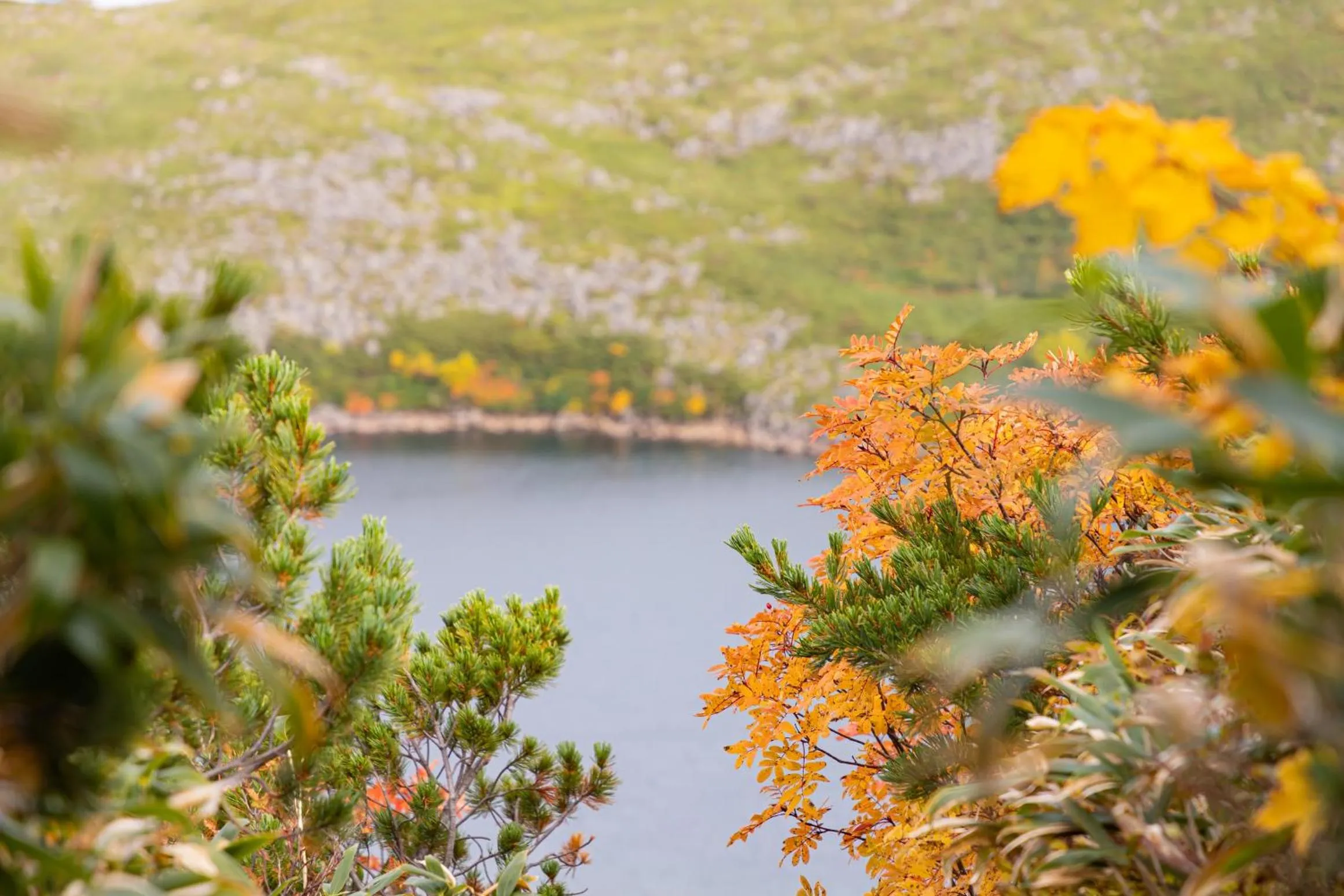 Hakuba Hatago Maruhachi