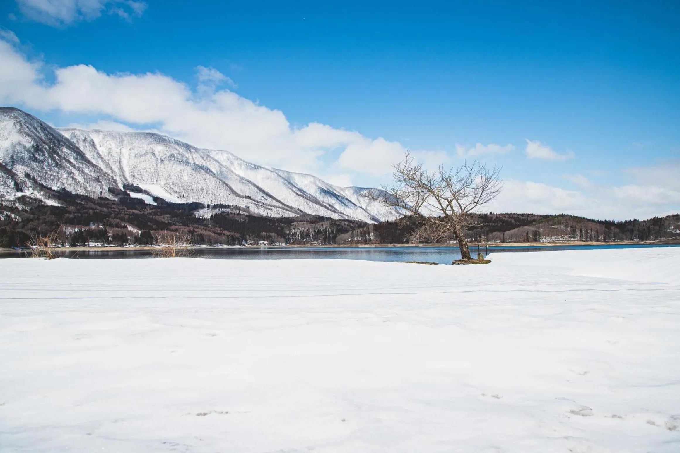 Hakuba Hatago Maruhachi