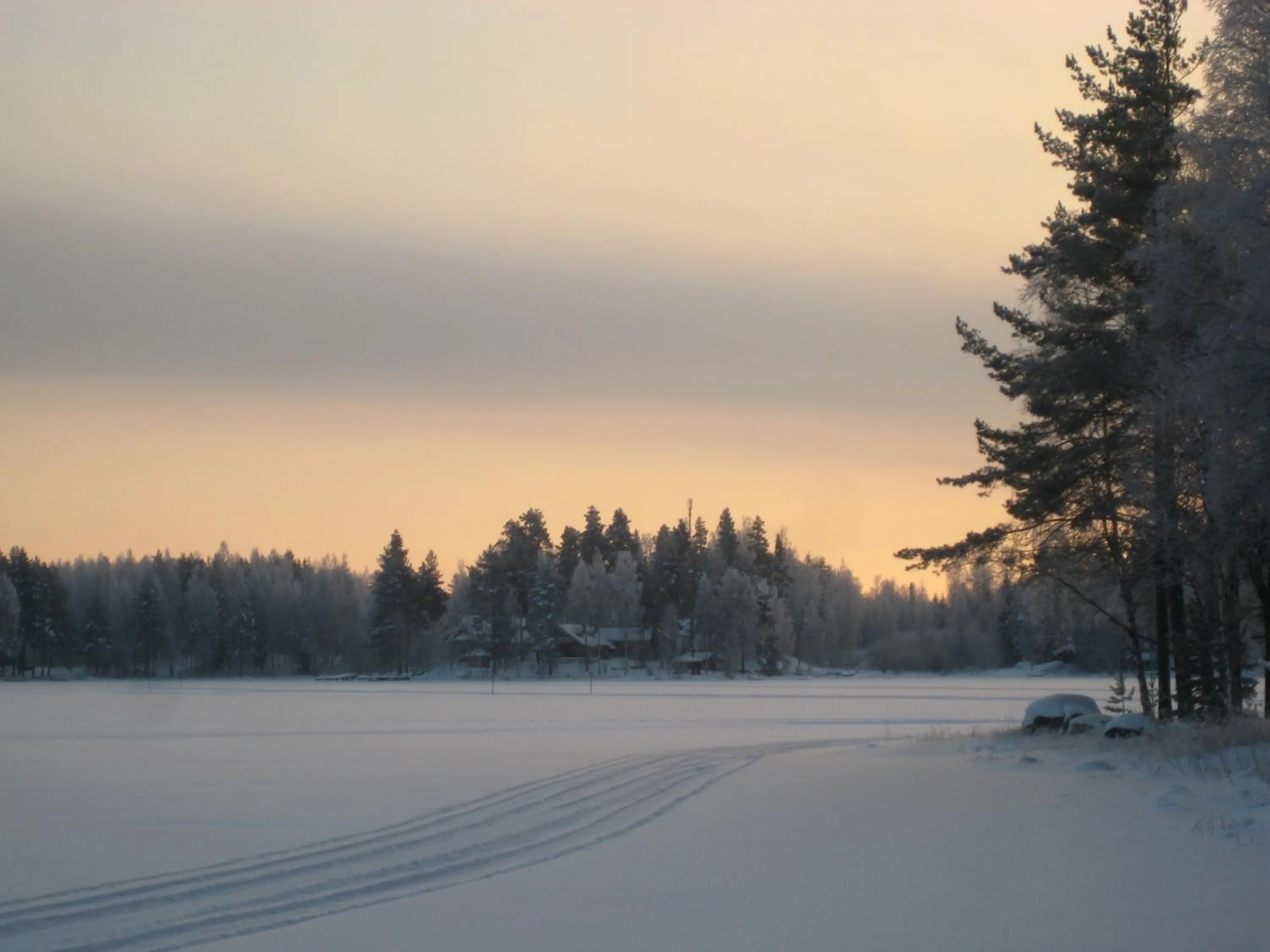 Natural landscape in Rinnepelto Holiday Cottages