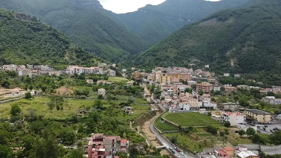 Natural landscape in HOTEL VALLEVERDE