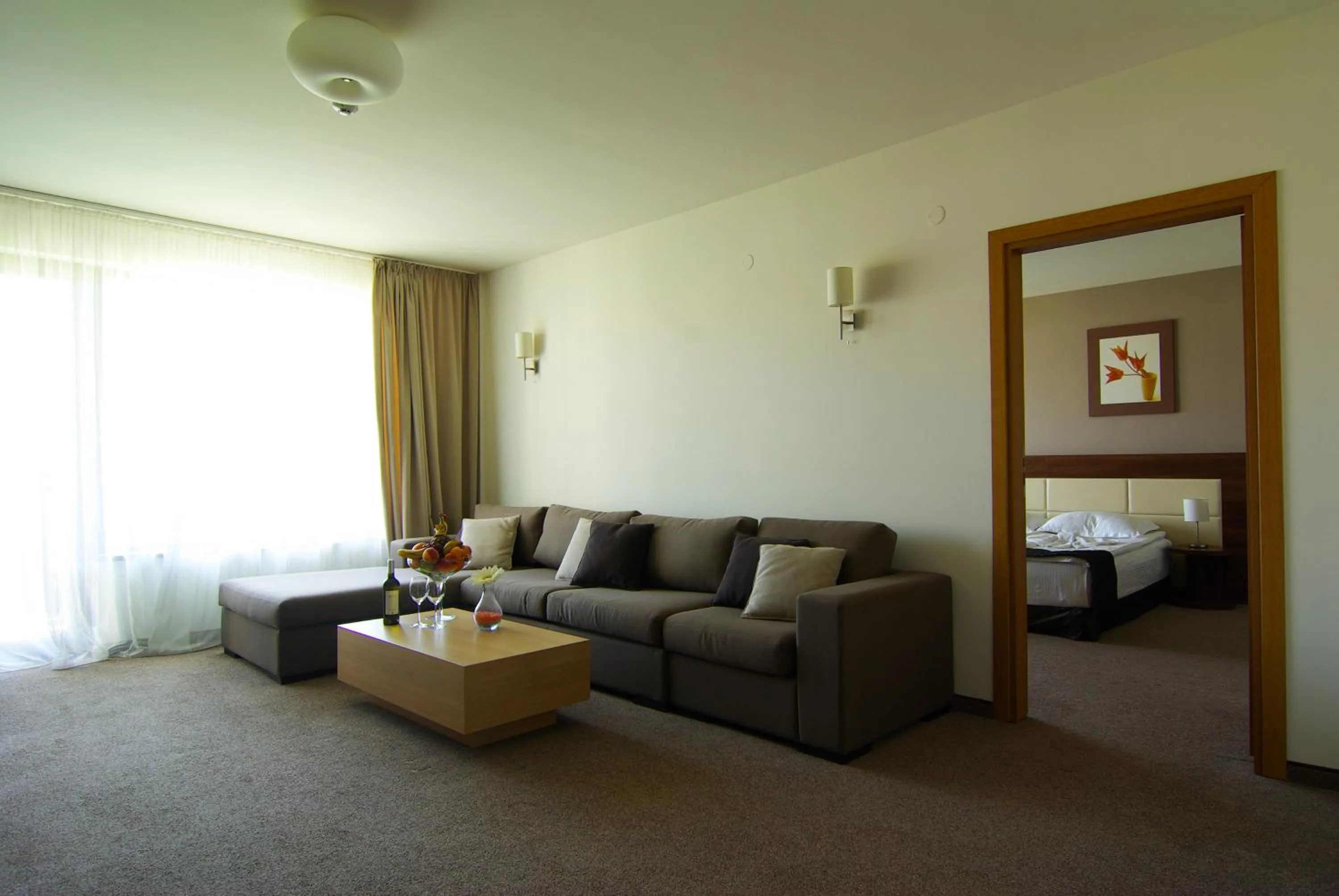 Photo of the whole room in Belchin Garden SPA&Wellness