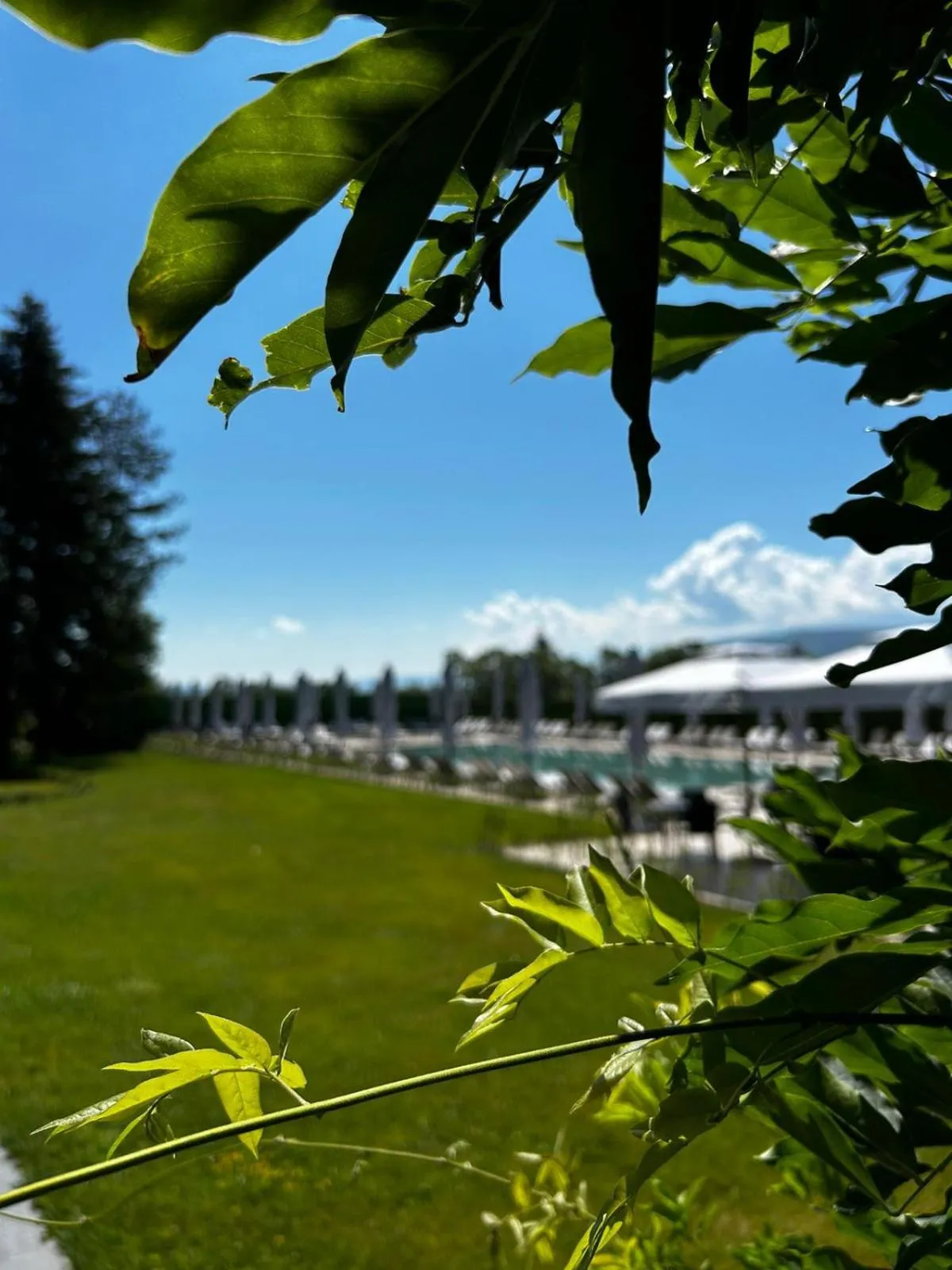 Swimming pool in Belchin Garden SPA&Wellness