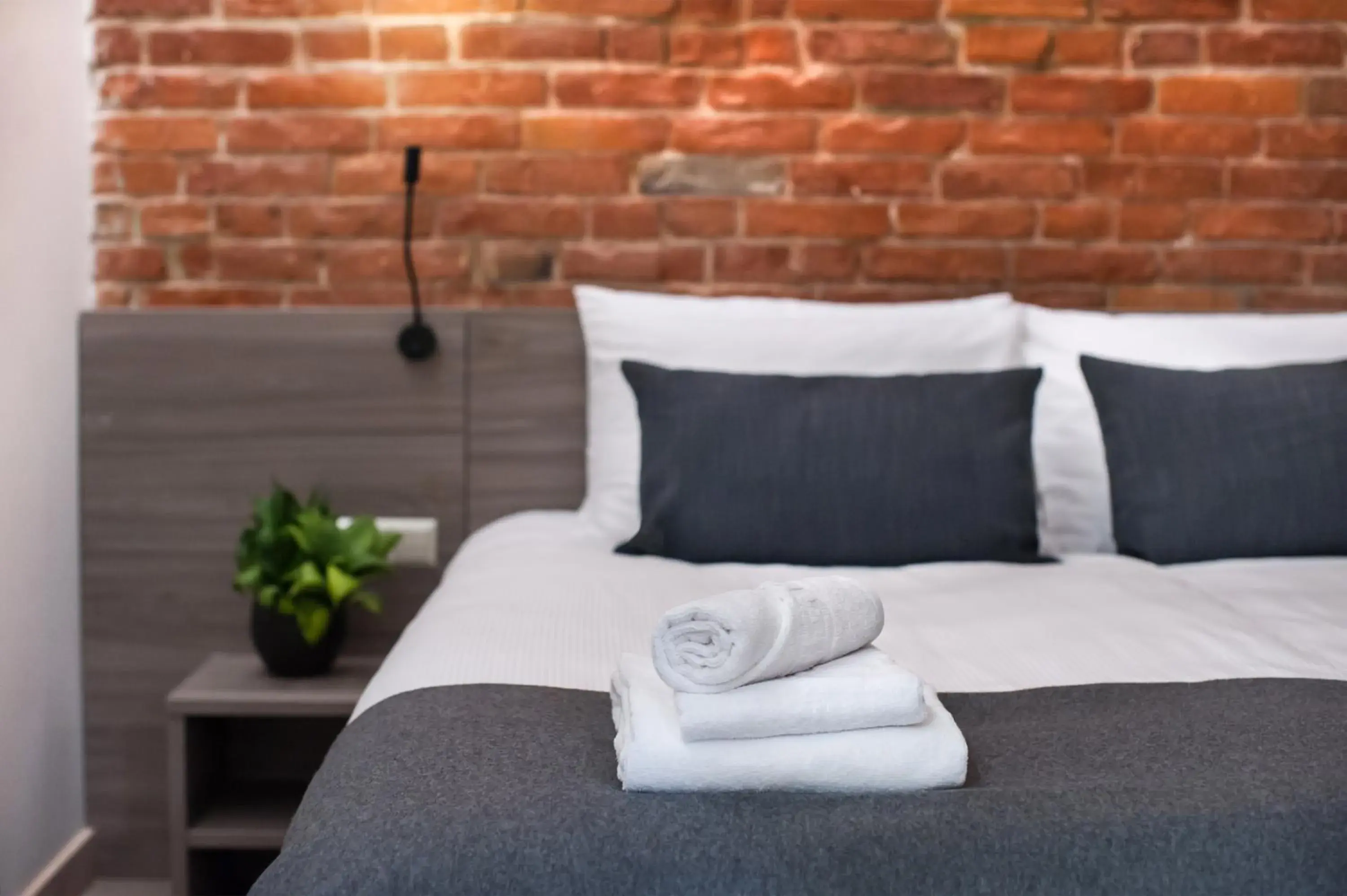 Standard Apartment - single occupancy in Dangė Hotel Standard Apartment - single occupancy in Dangė Hotel