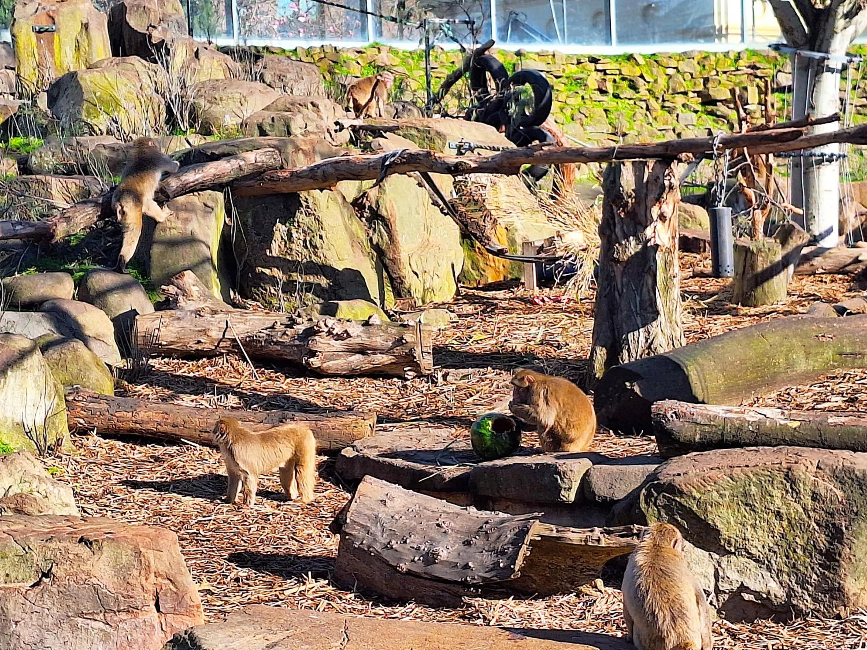 Nearby landmark in Commodore Regent Launceston