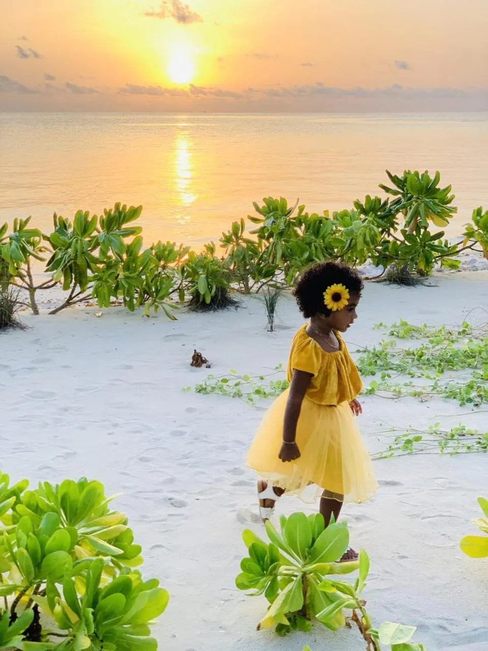 Beach in IRIS Beach Residence