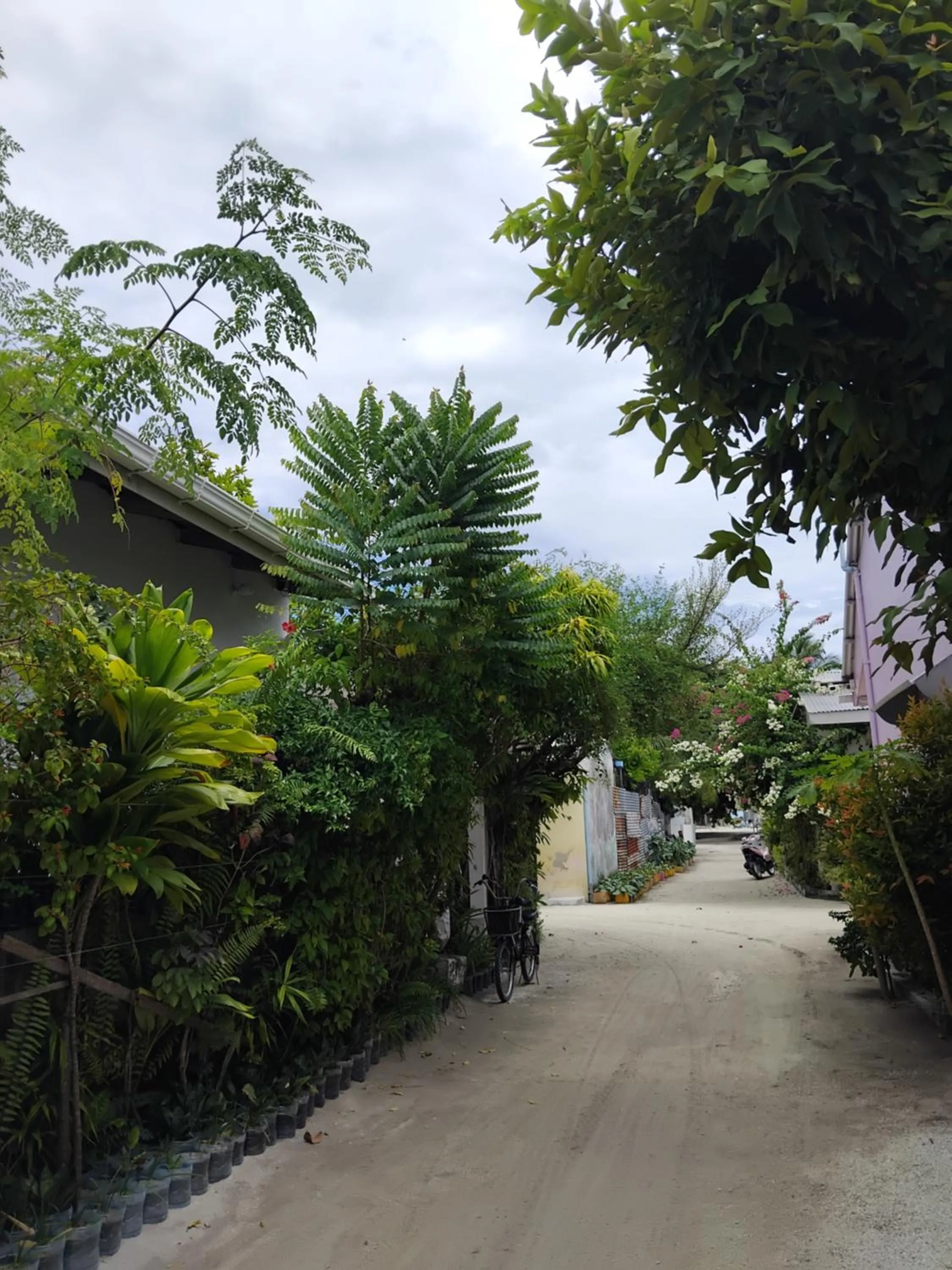 IRIS Beach Residence