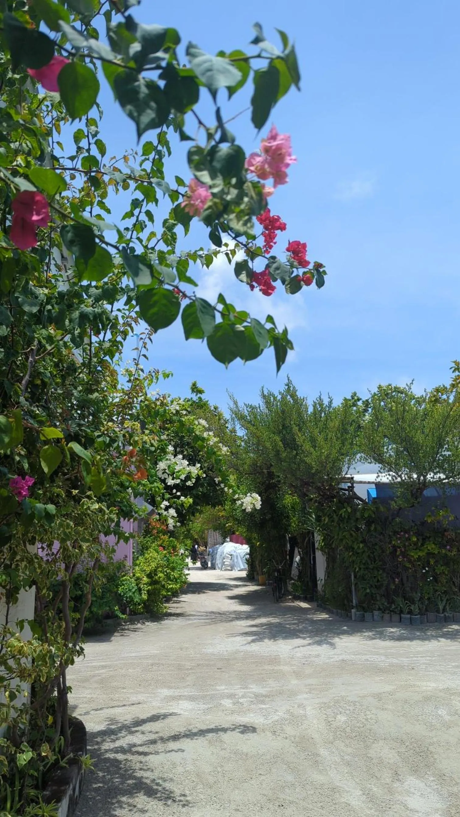 IRIS Beach Residence