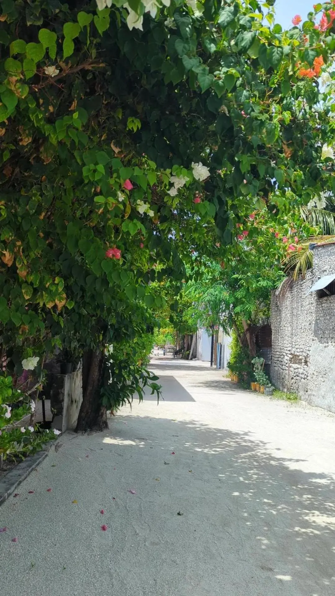 IRIS Beach Residence