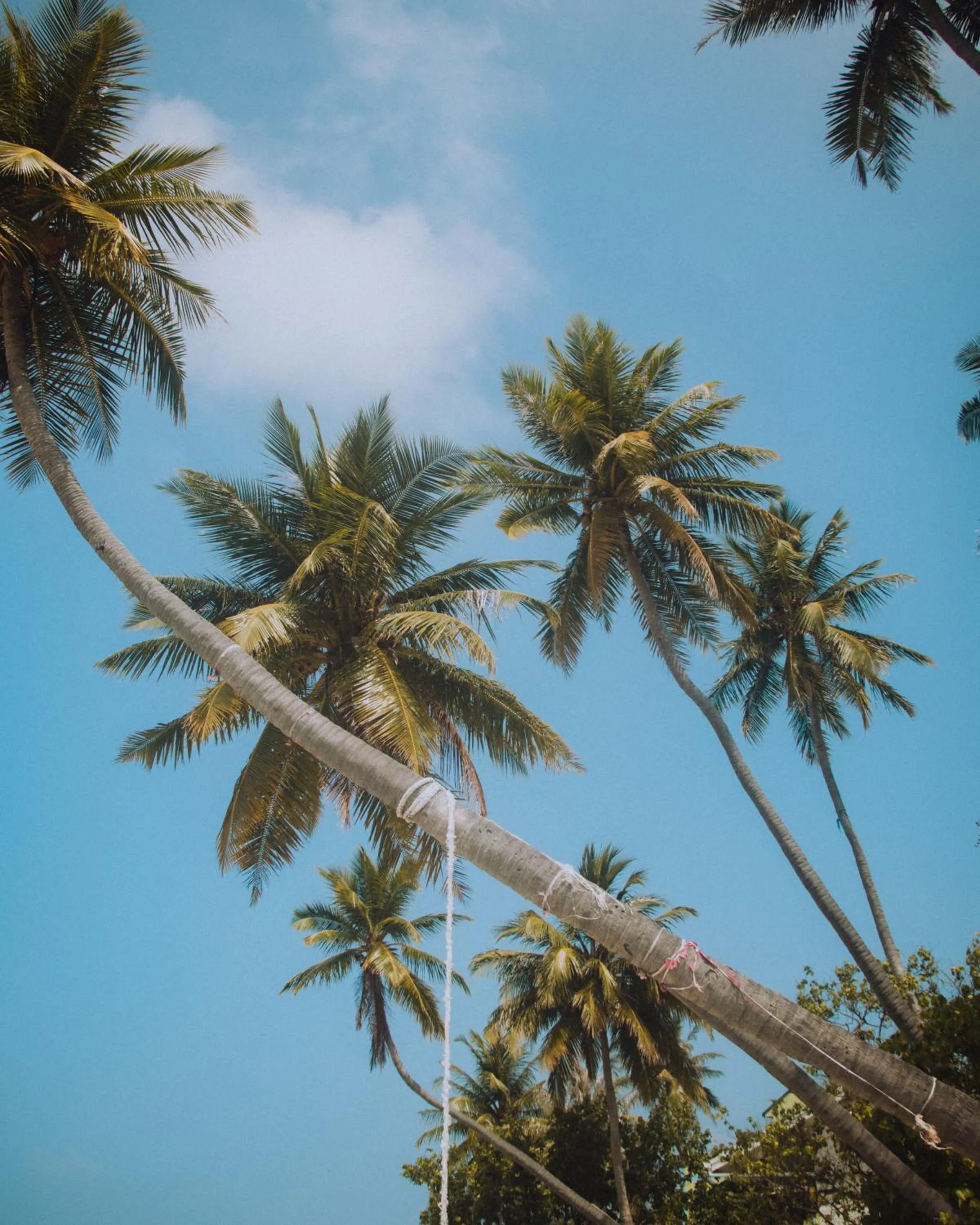 Day in IRIS Beach Residence