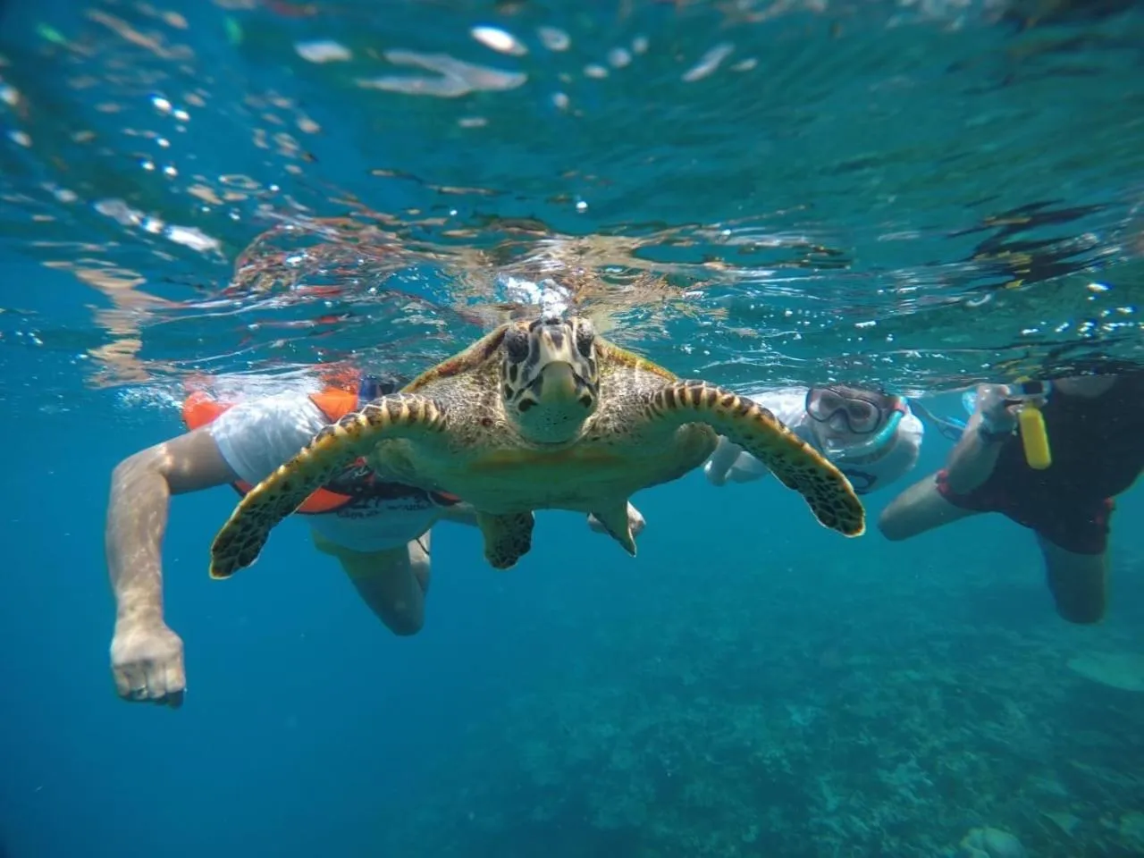 Activities in IRIS Beach Residence