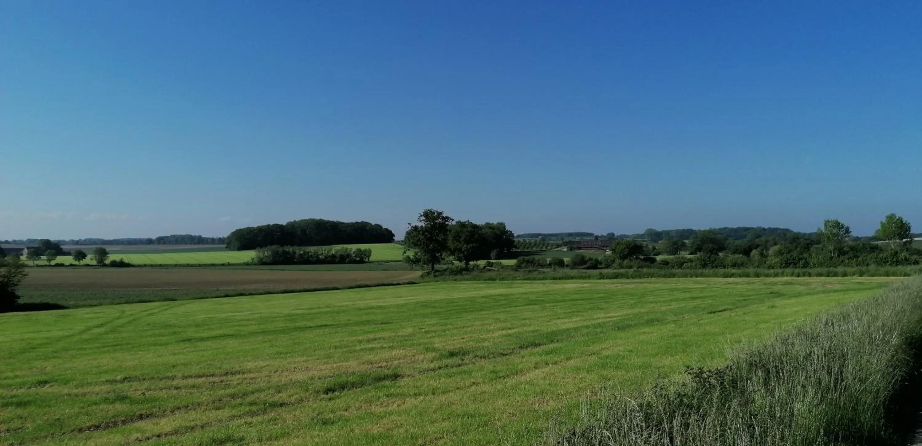 Natural landscape in Thermalhotel Kemper