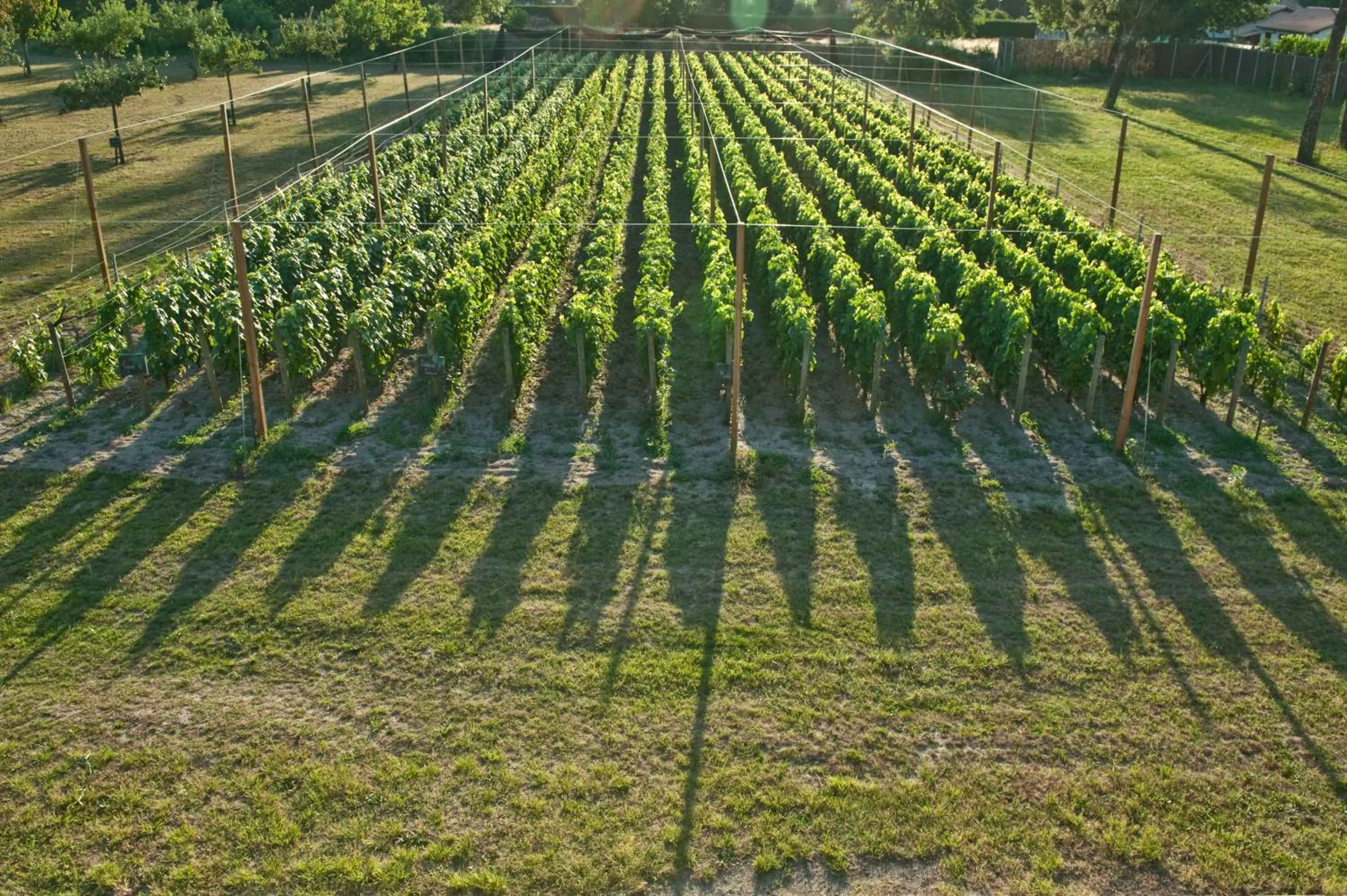 Garden in Relais de la Poste