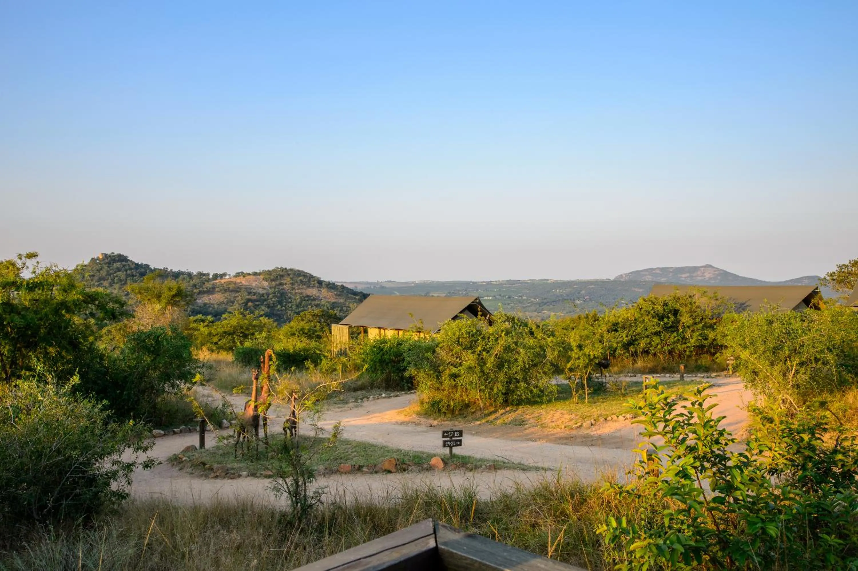 Garden in Ndhula Luxury Tented Lodge