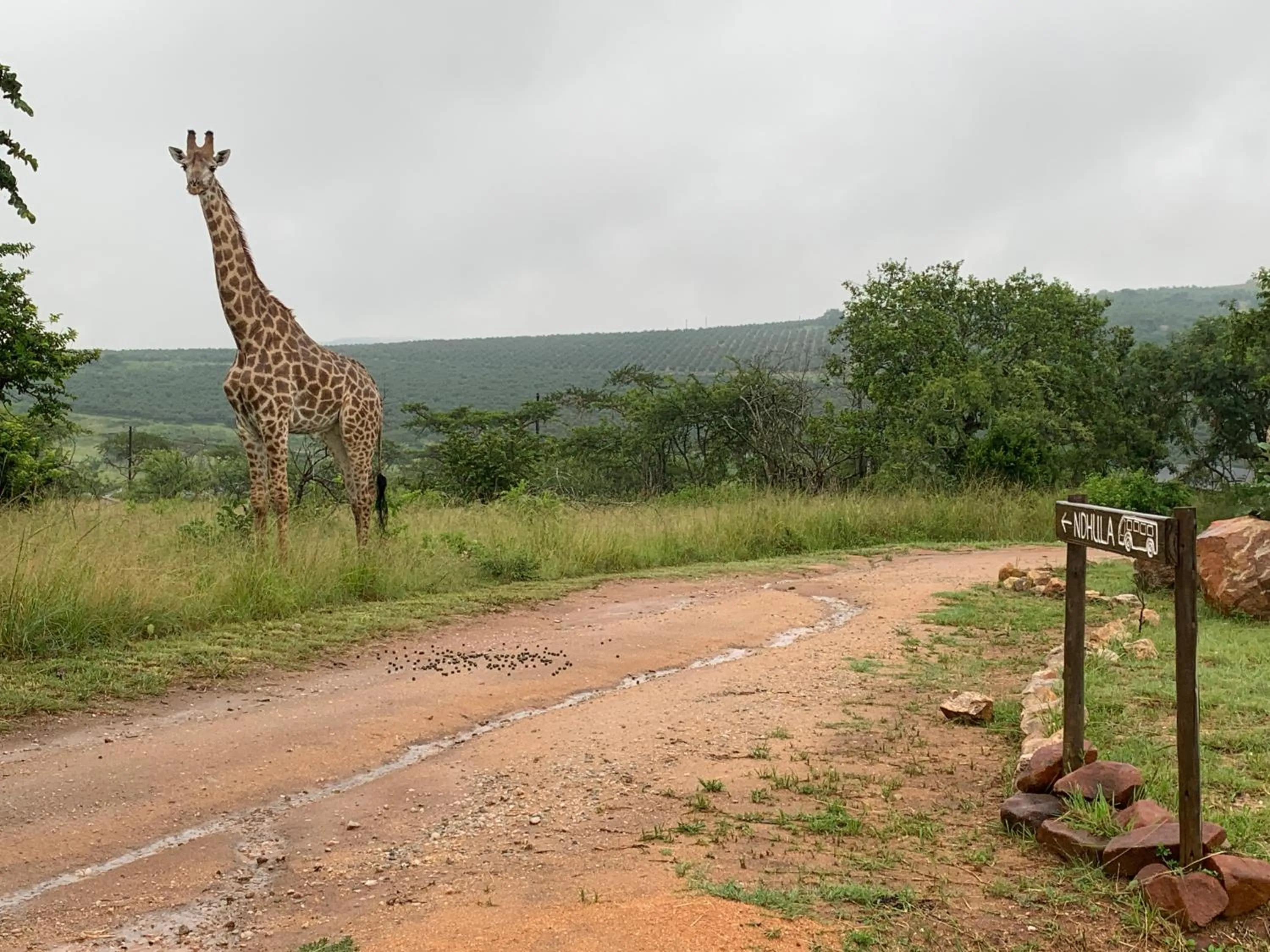 Property building in Ndhula Luxury Tented Lodge