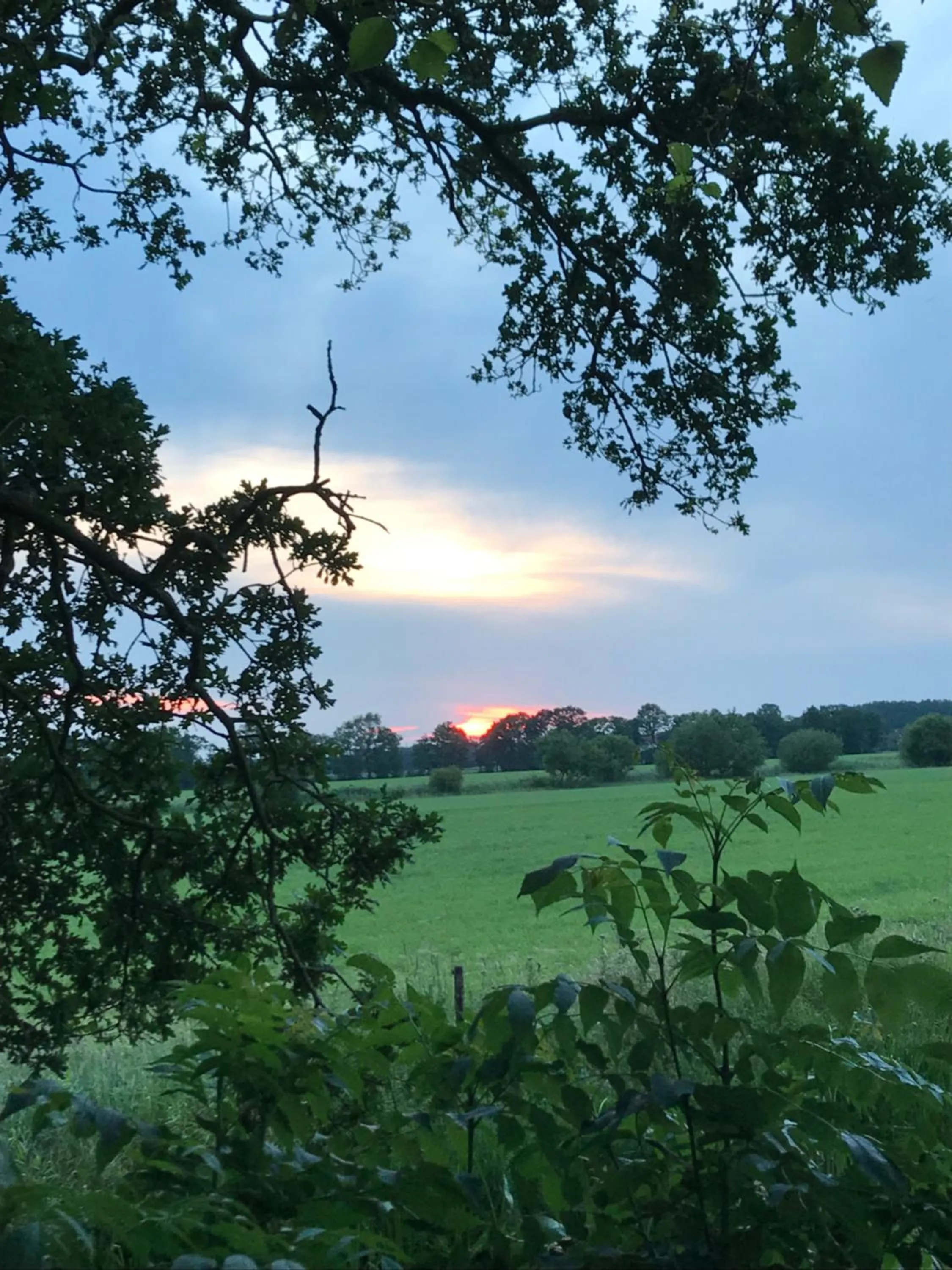 View (from property/room) in De Fugelsang