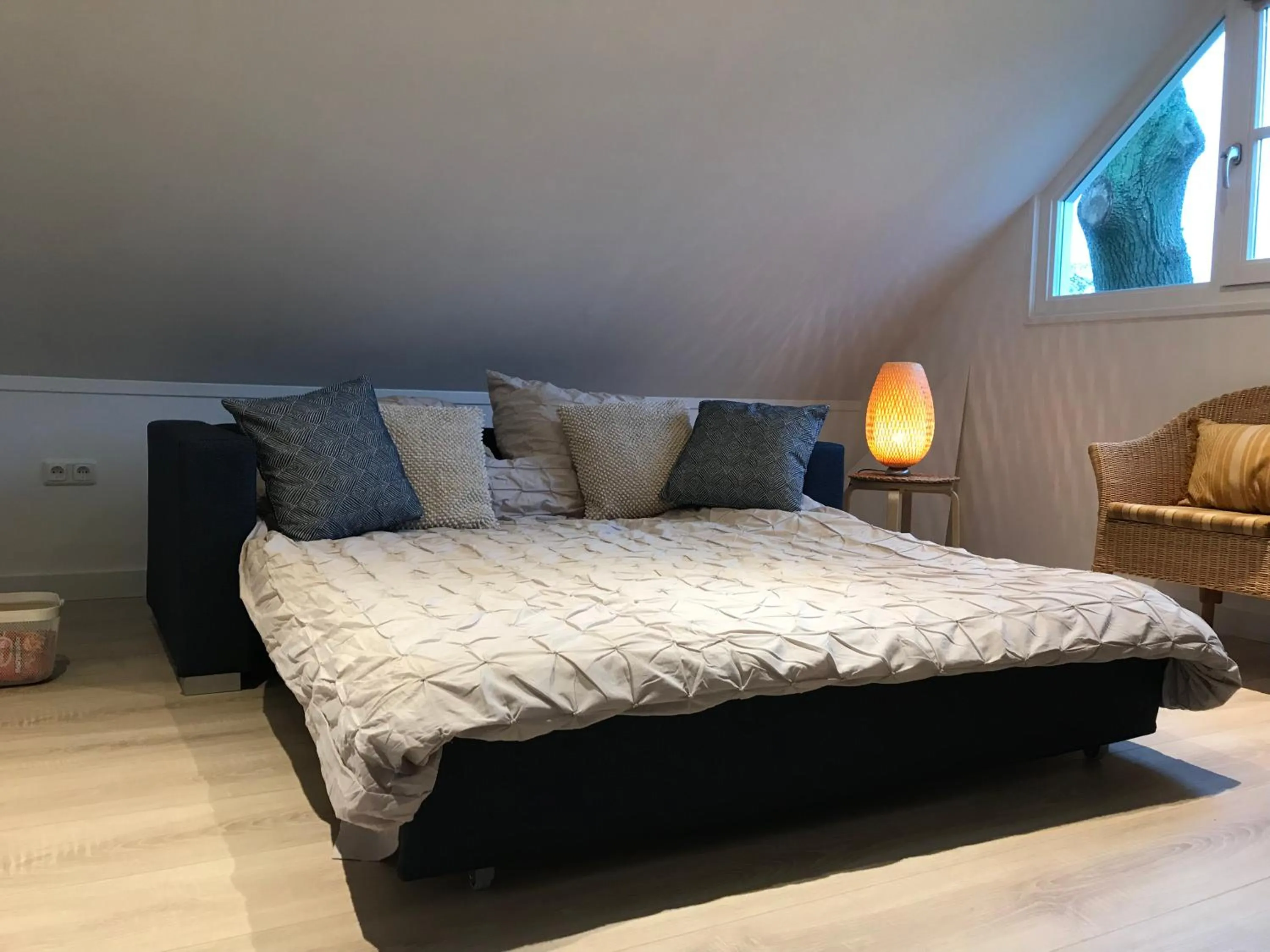 Standard Apartment - single occupancy in De Fugelsang