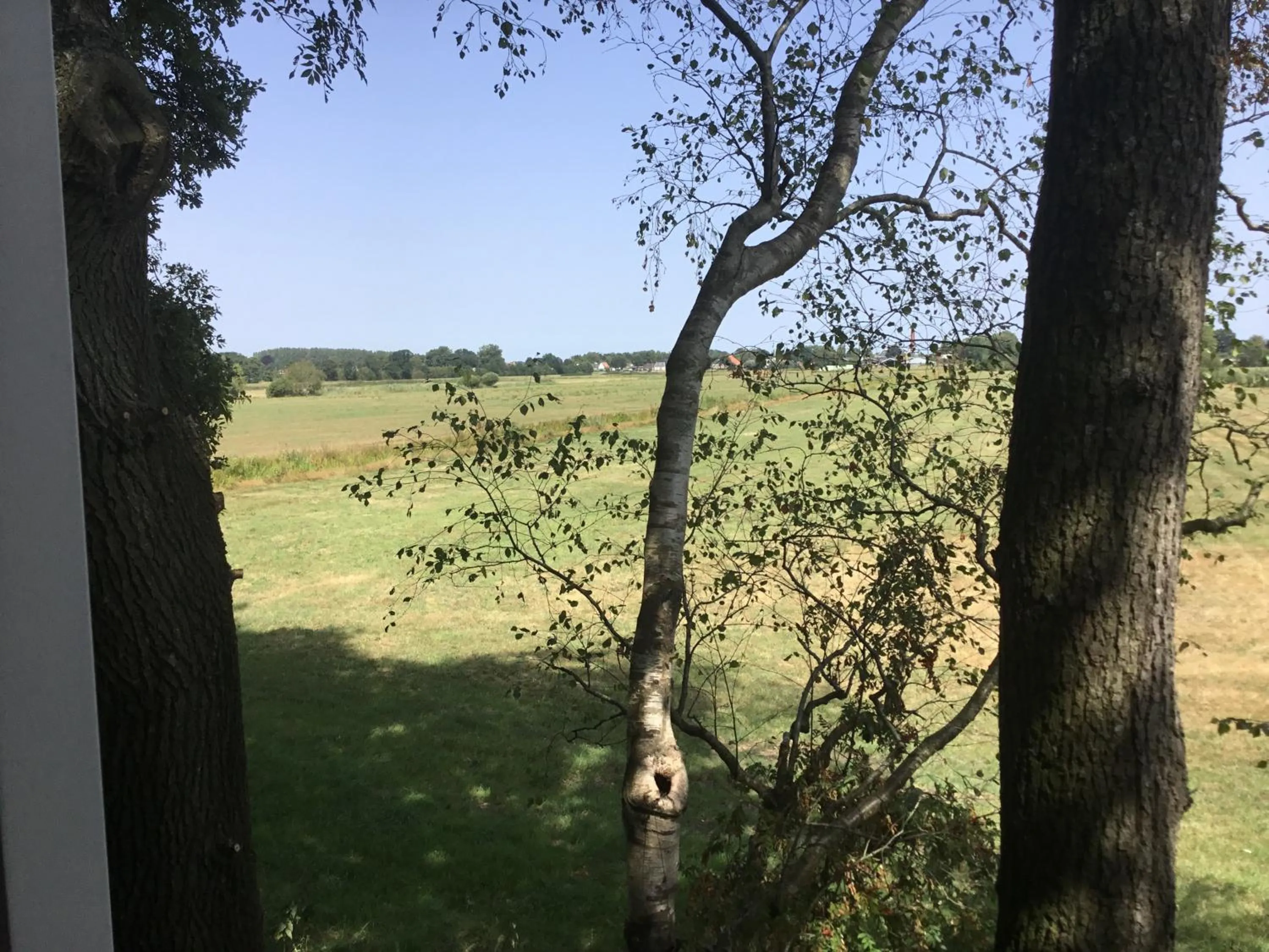 View (from property/room) in De Fugelsang
